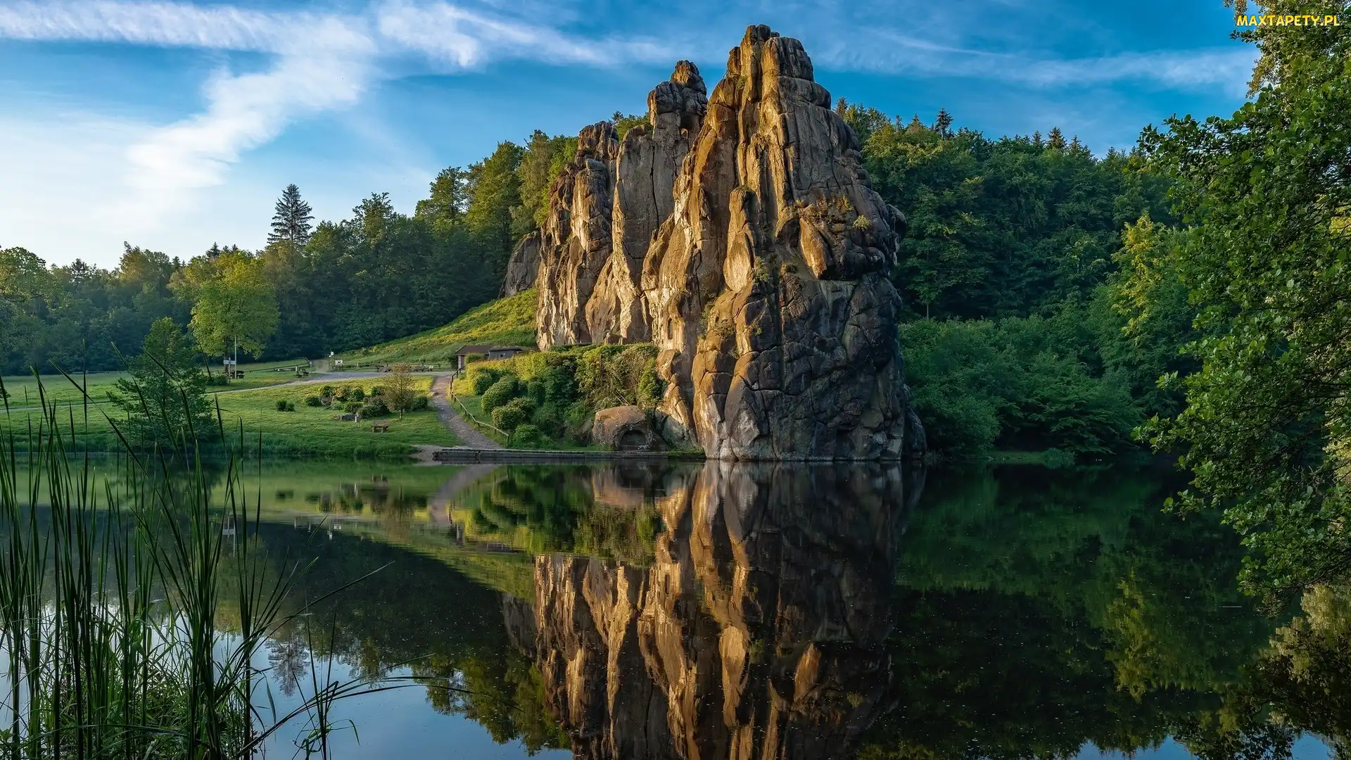 Jezioro, Drzewa, Skała