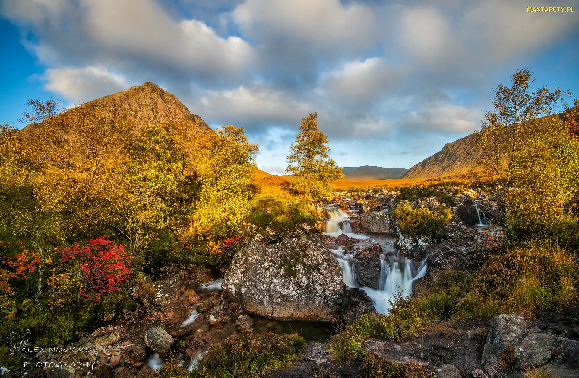 Rzeczka, Strumień, Szkocja, Góry, Góra, Jesień, Skały, Region Highland, Drzewa, Krzewy, Buachaille Etive Mor