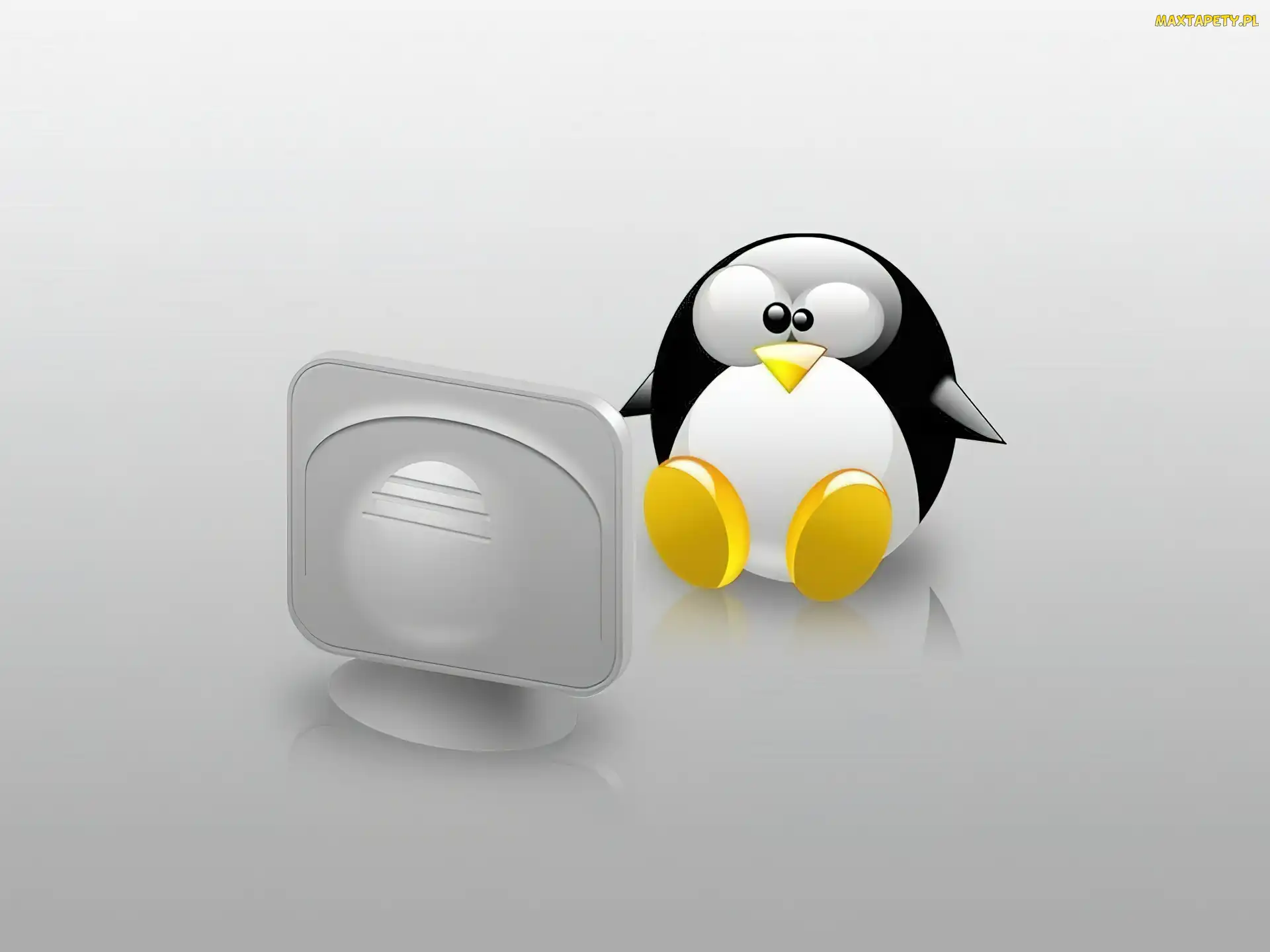 Linux, pingwin, monitor, grafika