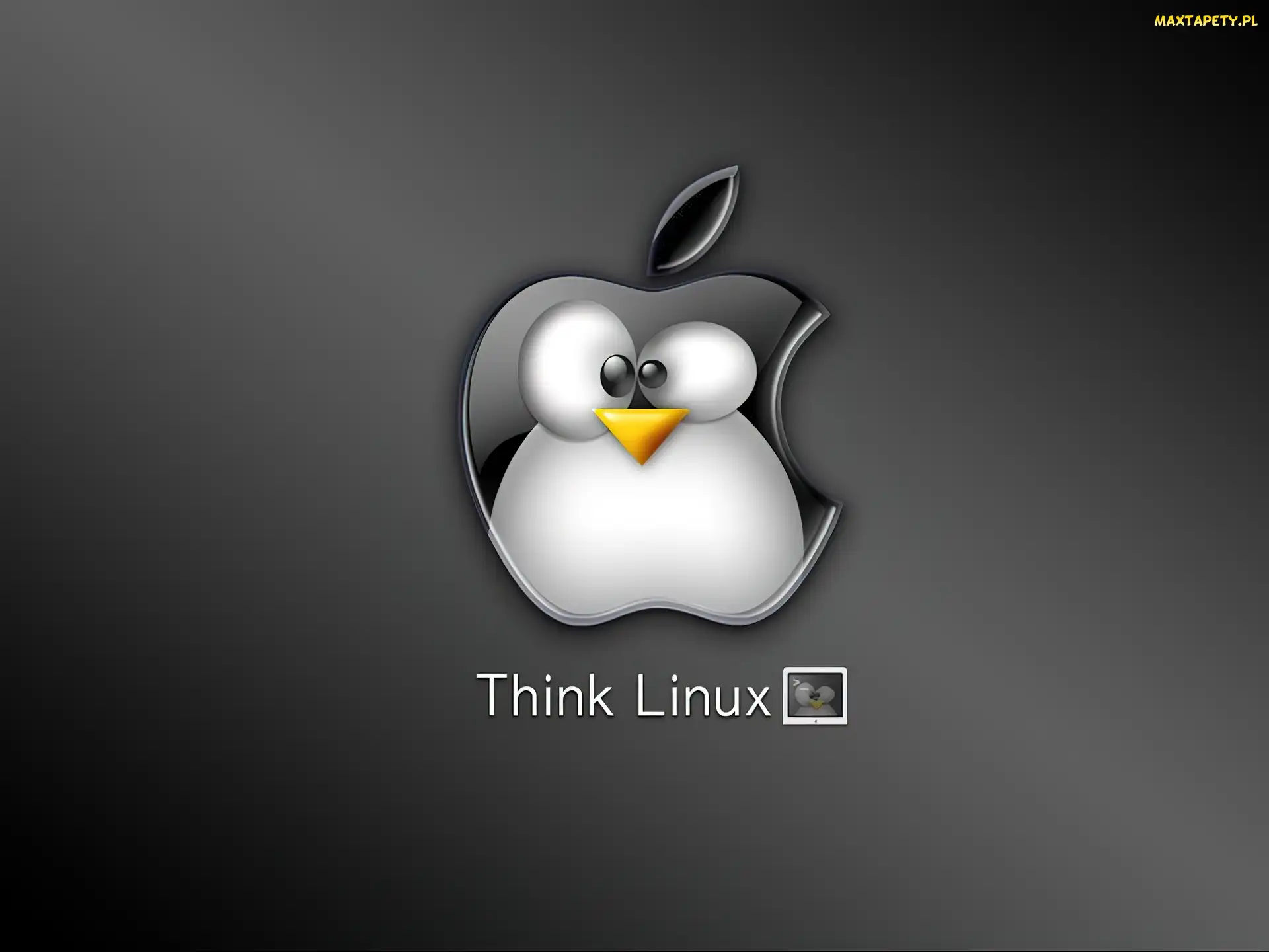 grafika, pingwin, jabłko, Linux
