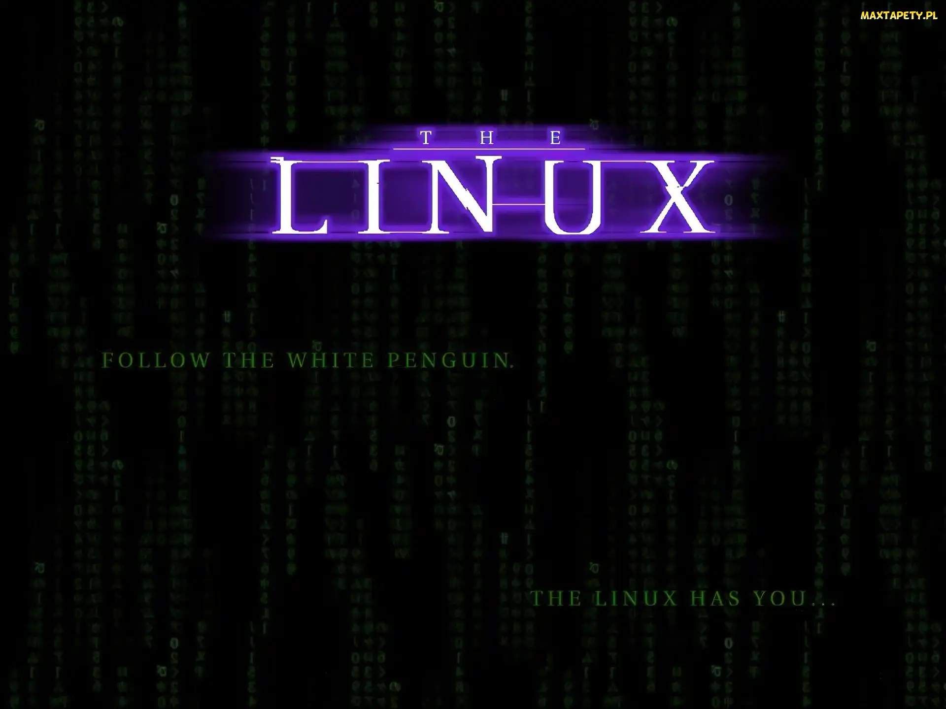 grafika, Linux