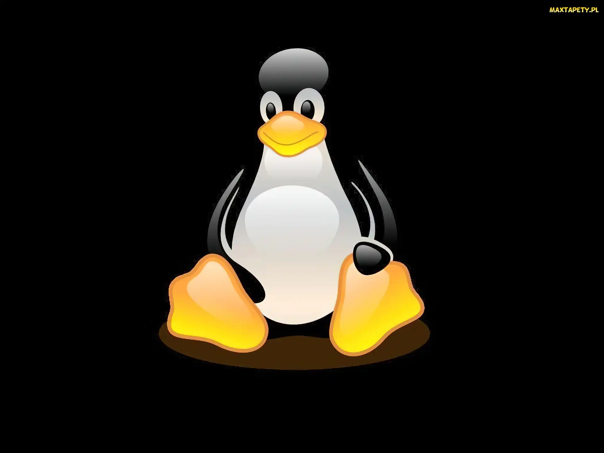 pingwin, grafika, Linux