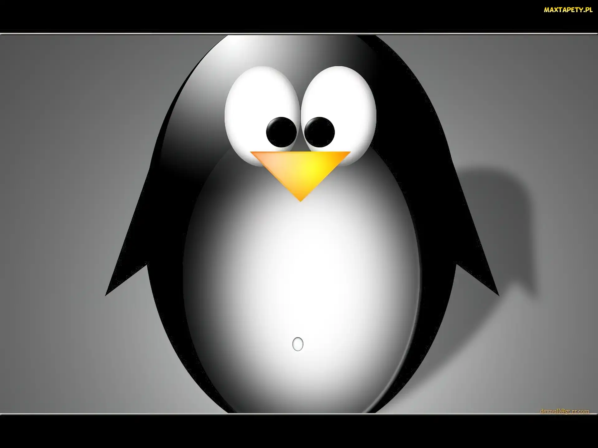Linux, grafika, pingwin
