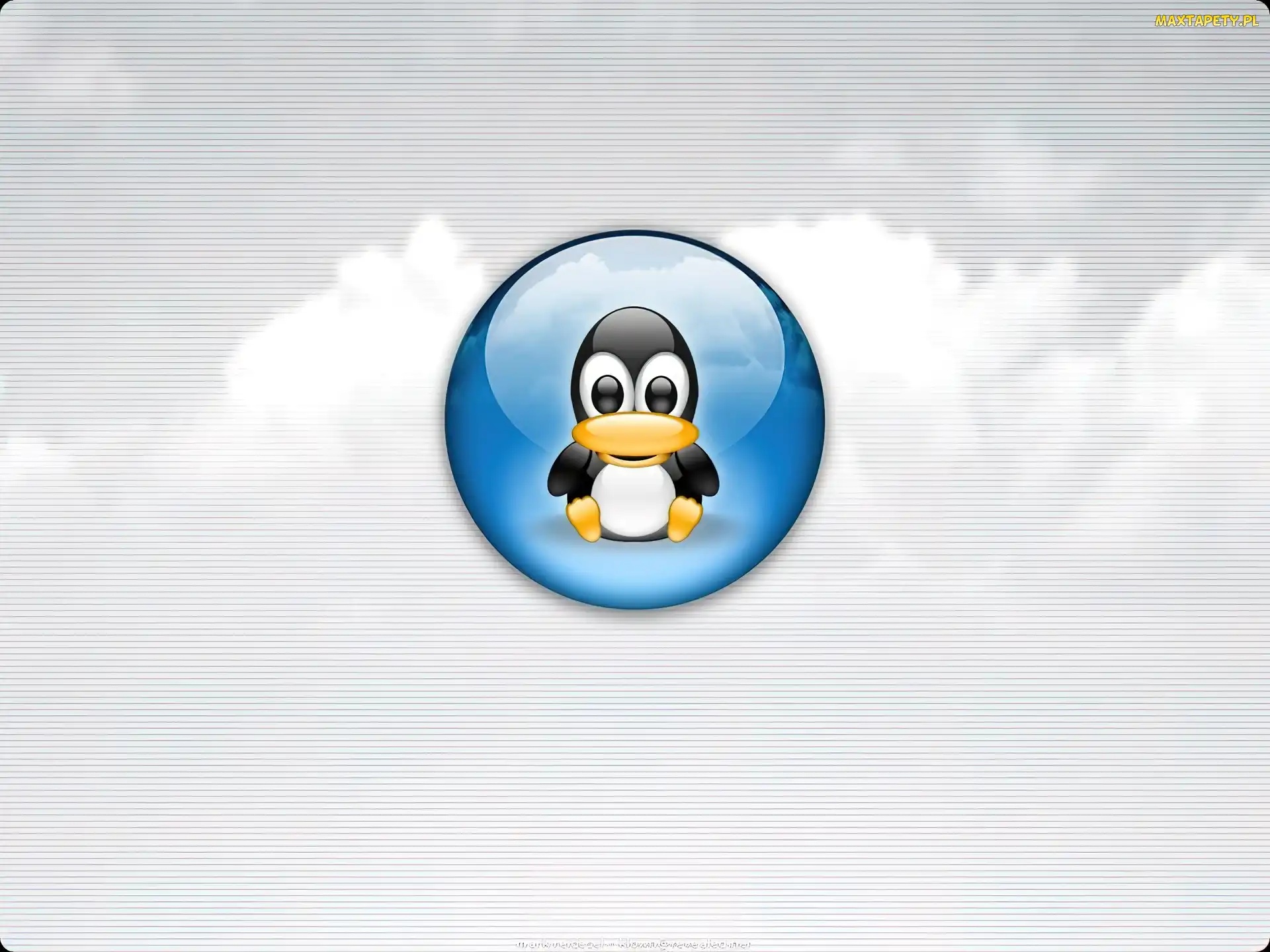 pingwin, grafika, Linux