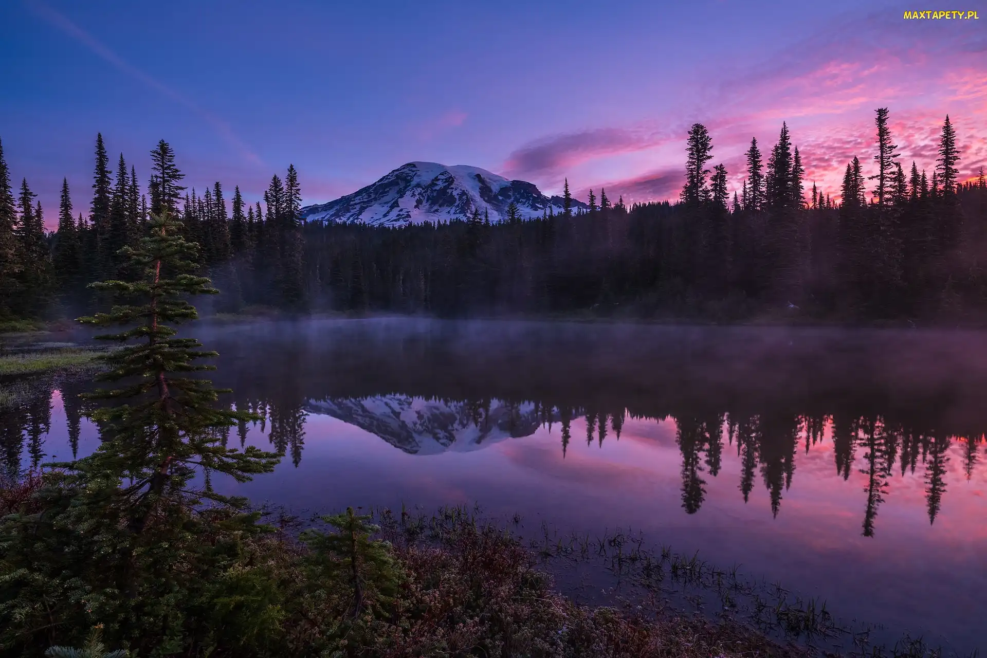 Stany Zjednoczone, Las, Drzewa, Stan Waszyngton, Góra, Jezioro Reflection Lake, Szczyt Mount Rainier, Mgła, Park Narodowy Mount Rainier, Wschód słońca