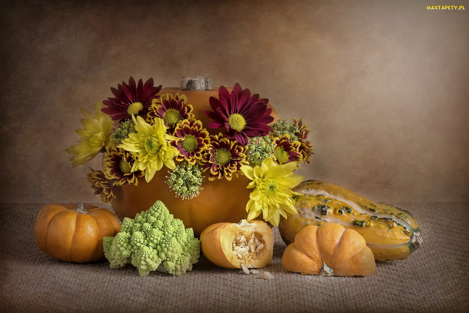 Chryzantemy, Romanesco, Kalafior zielony, Dynie, Kwiaty