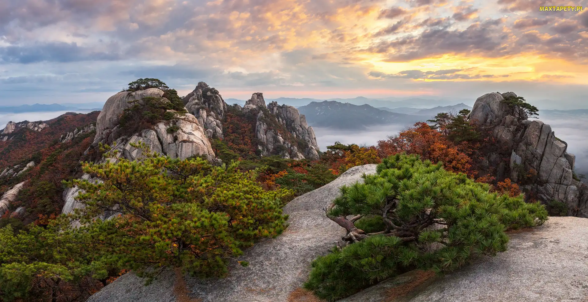 Góry, Prowincja Gyeonggi-do, Góra Dobongsan, Korea Południowa, Park Narodowy Bukhansan, Wschód słońca, Drzewa, Chmury, Skały