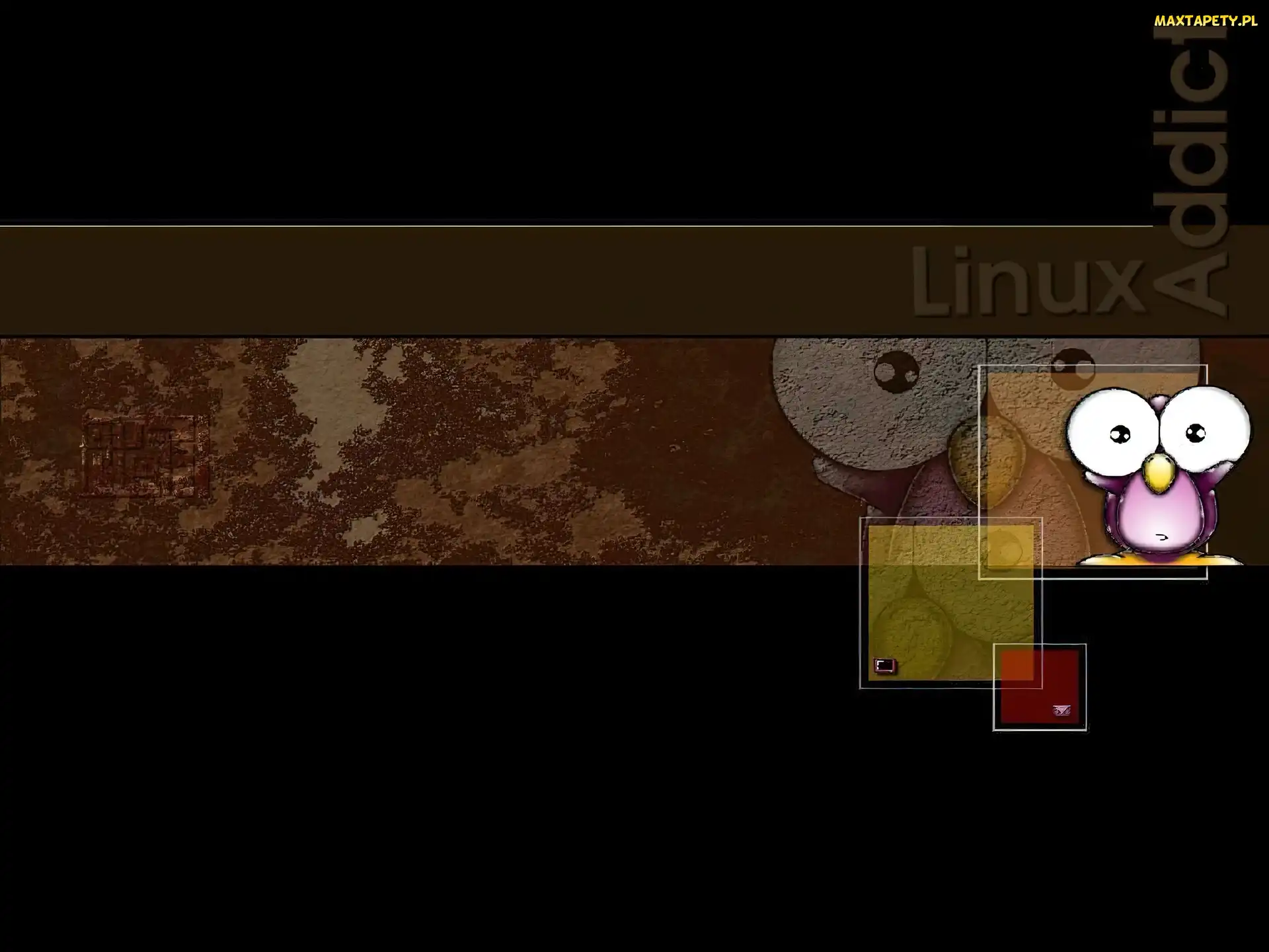 oko, pingwin, Linux, grafika