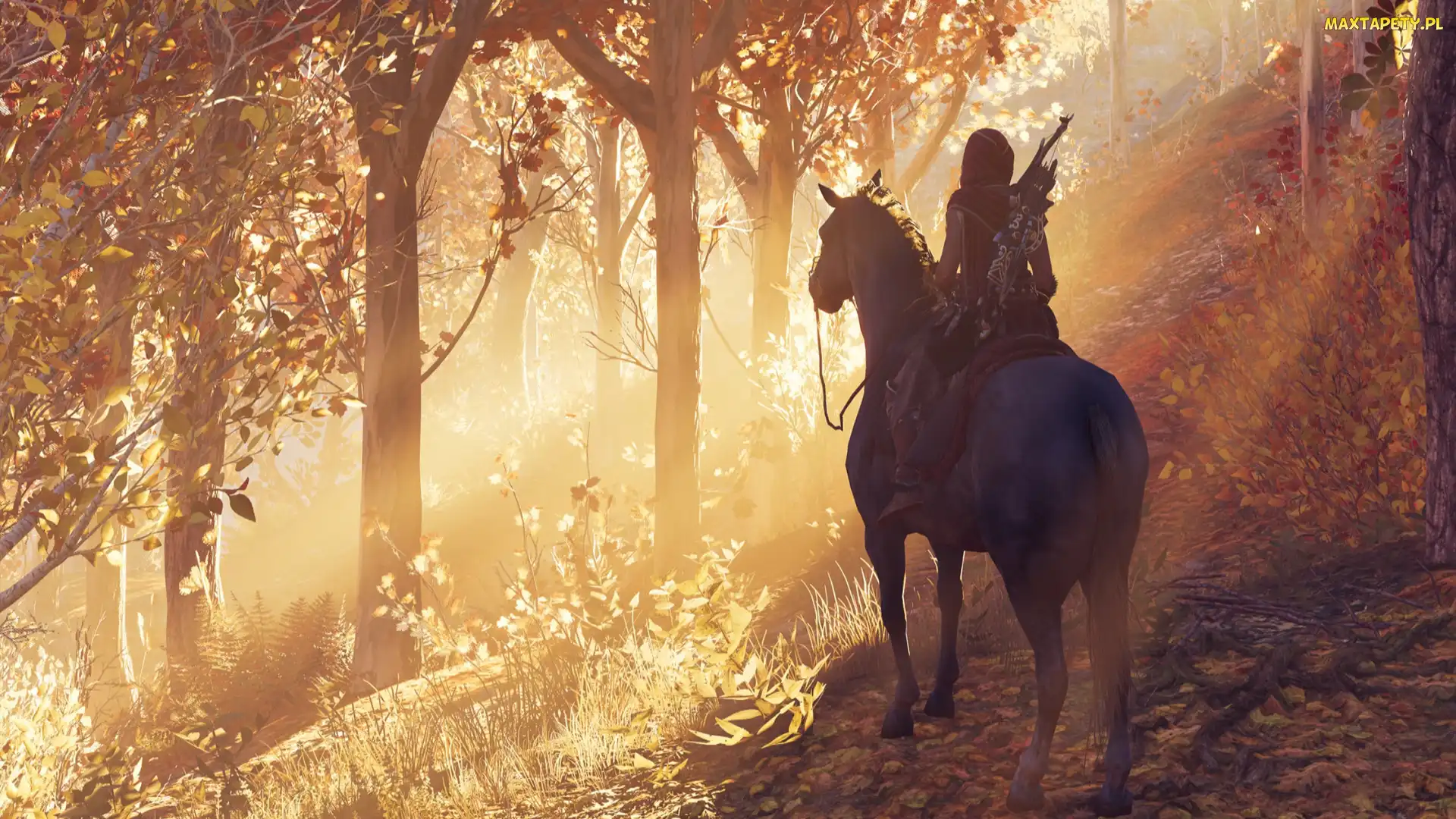 Gra, Assassins Creed Odyssey, Las, Jeździec, Koń, Postać