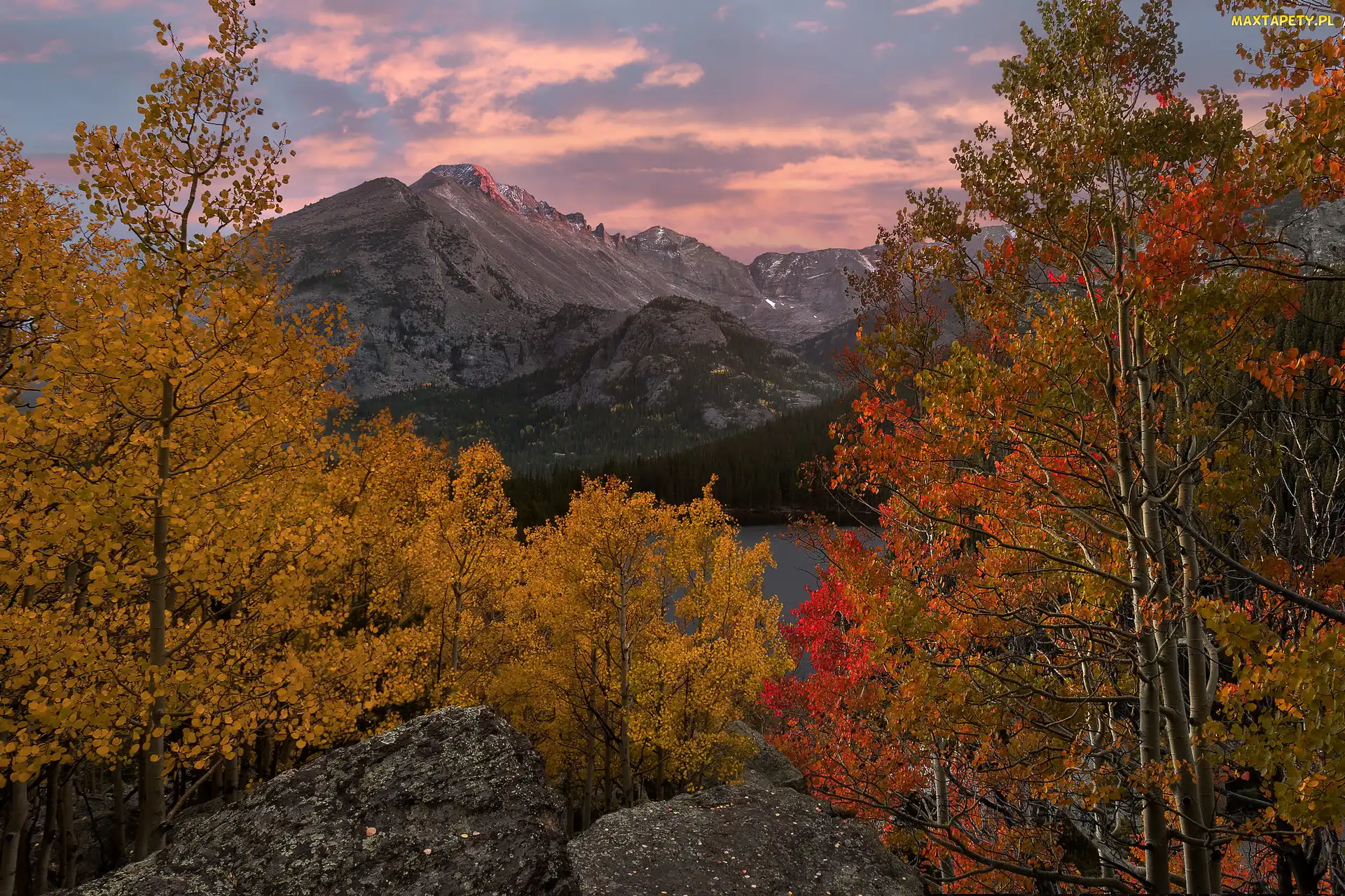 Kolorado, Drzewa, Góry Skaliste, Stany Zjednoczone, Jezioro Bear Lake, Jesień, Park Narodowy Gór Skalistych