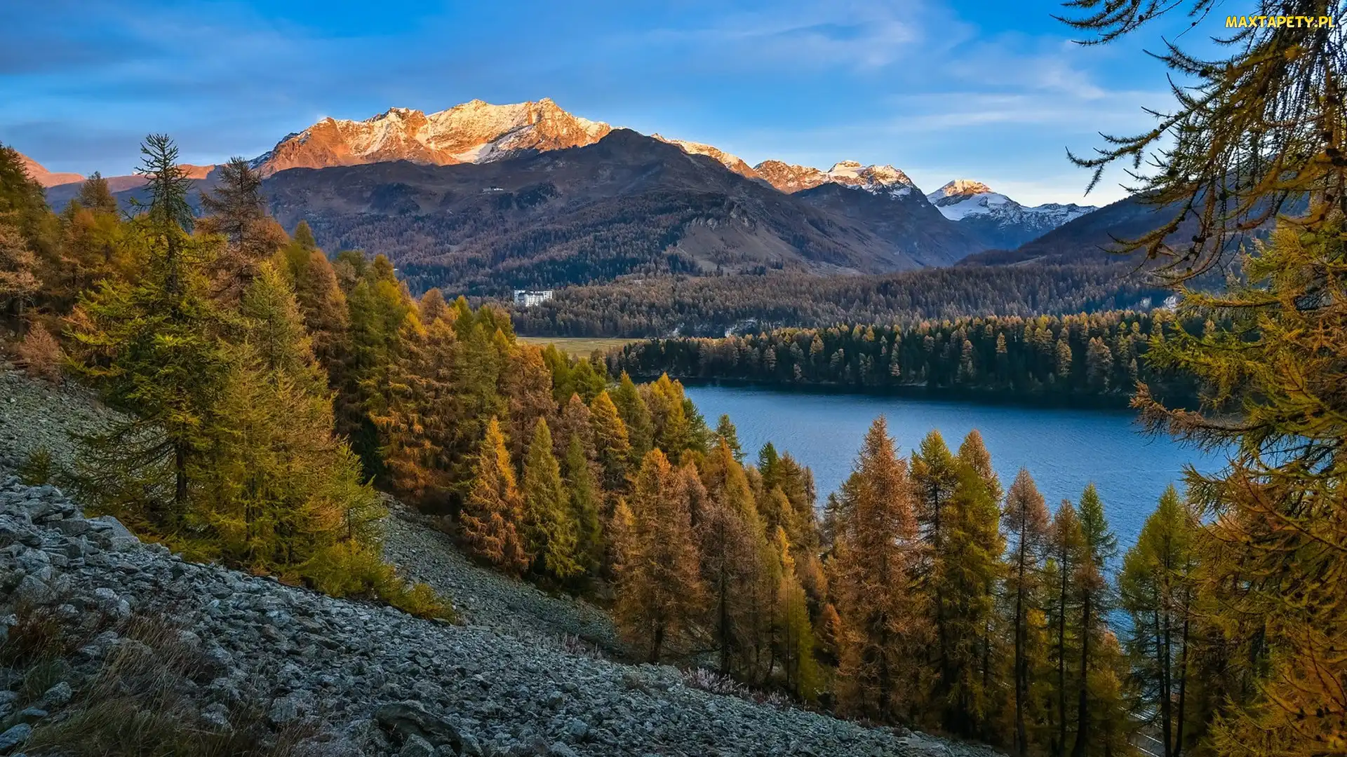 Jezioro, Kamienie, Zbocze, Drzewa, Góry
