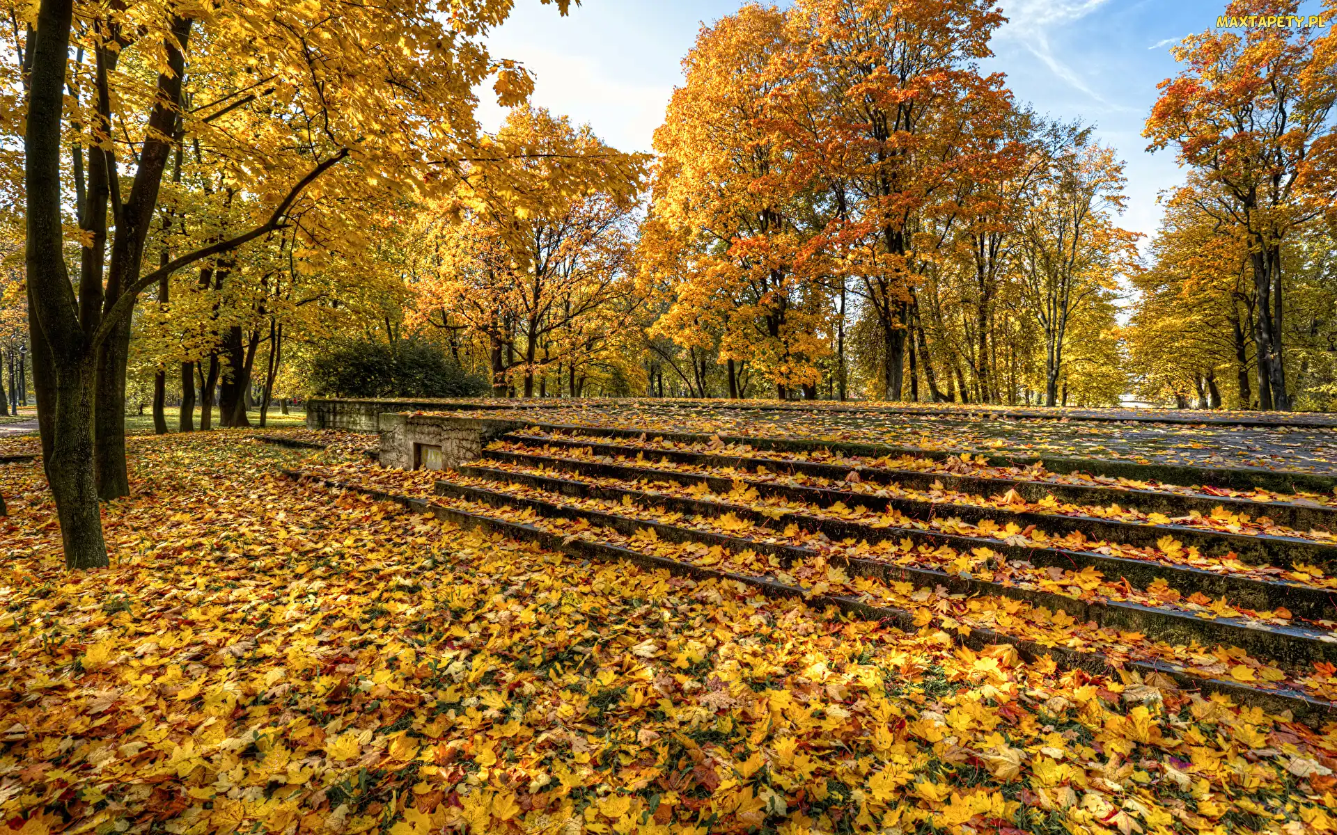 Jesień, Liście, Drzewa, Park, Schody, Pożółkłe
