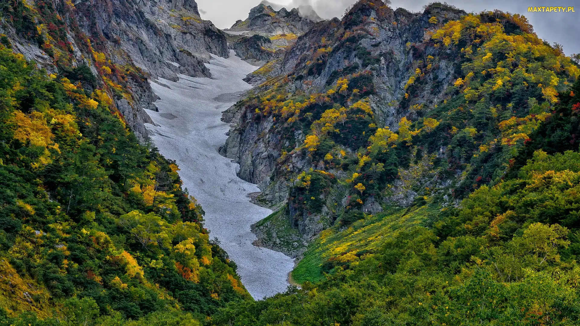 Drzewa, Kolorowe, Góry, Śnieg