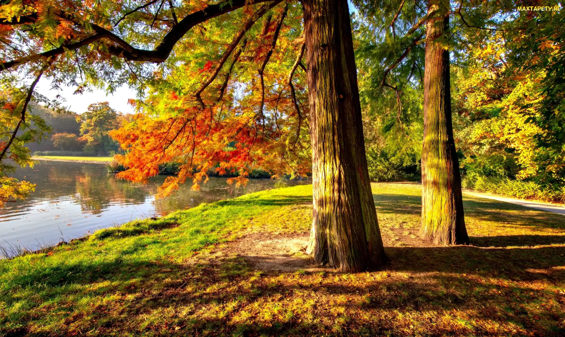 Jesień, Staw, Park, Drzewa