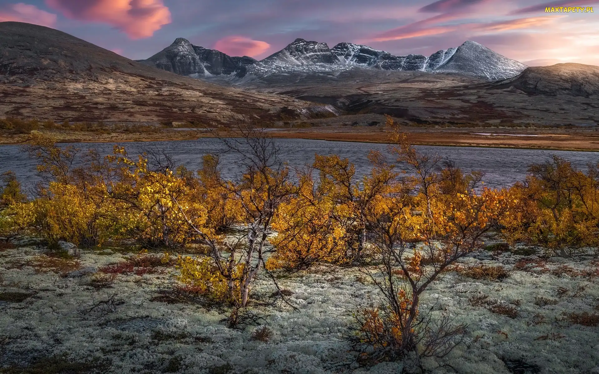 Norwegia, Krzewy, Jezioro, Jesień, Roślinność, Masyw Rondane, Okręg Oppland, Park Narodowy Rondane, Góry Rondane