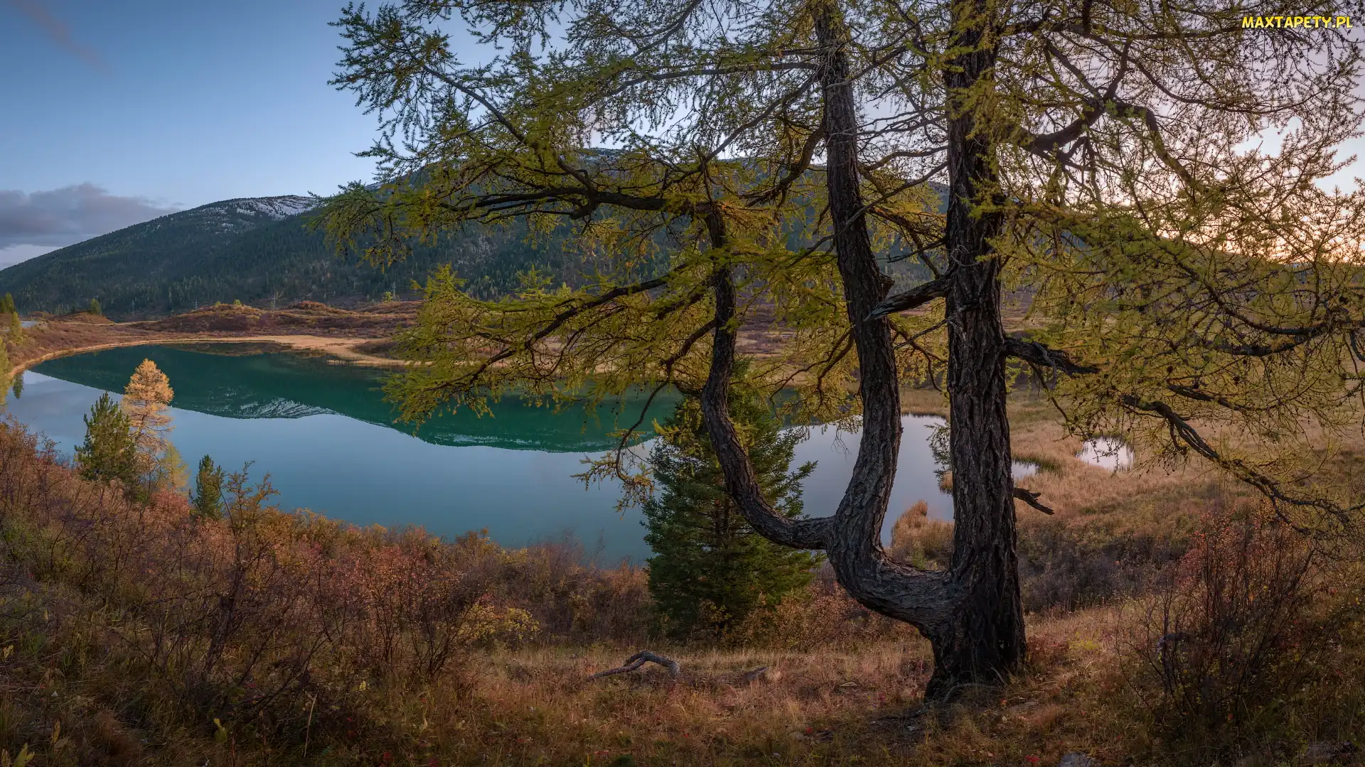 Jesień, Drzewa, Jezioro, Góra