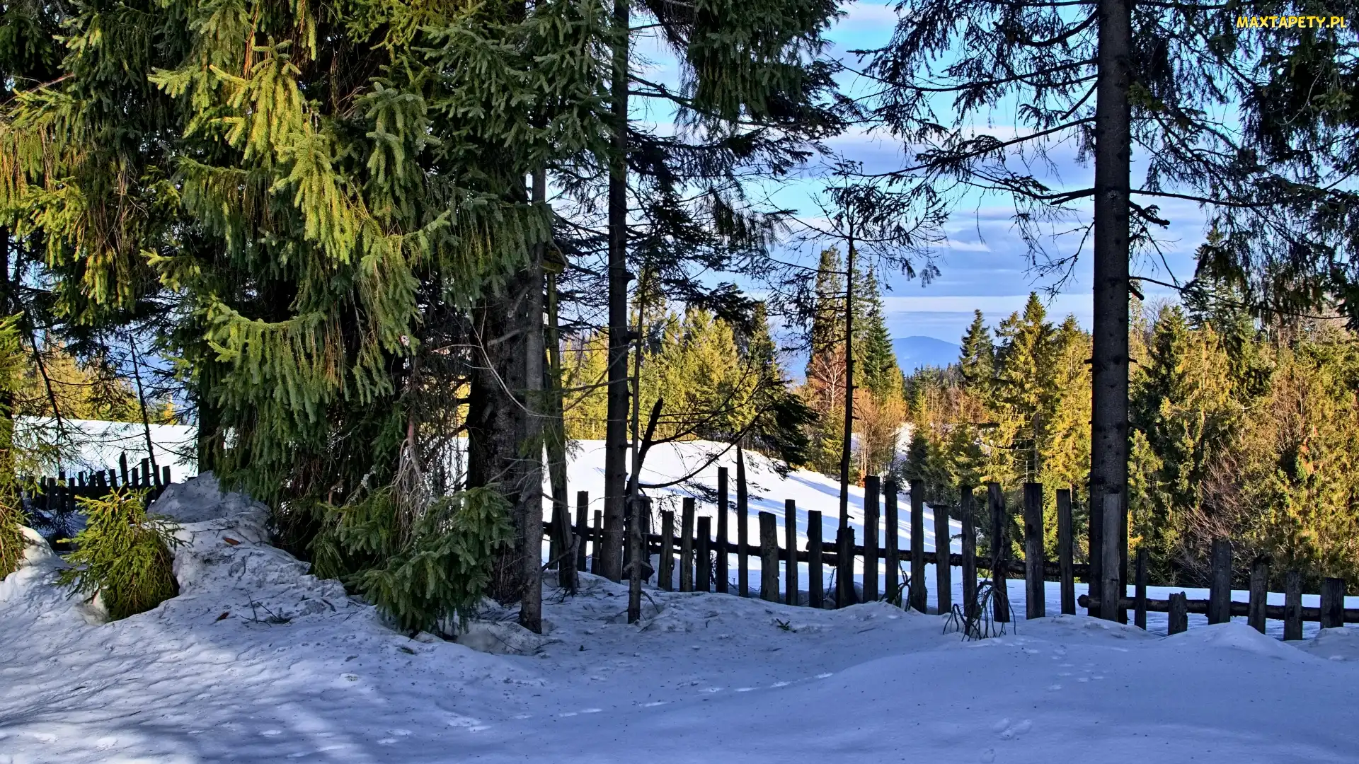 Dzień, Słoneczny, Śnieg, Zima, Płot, Drzewa