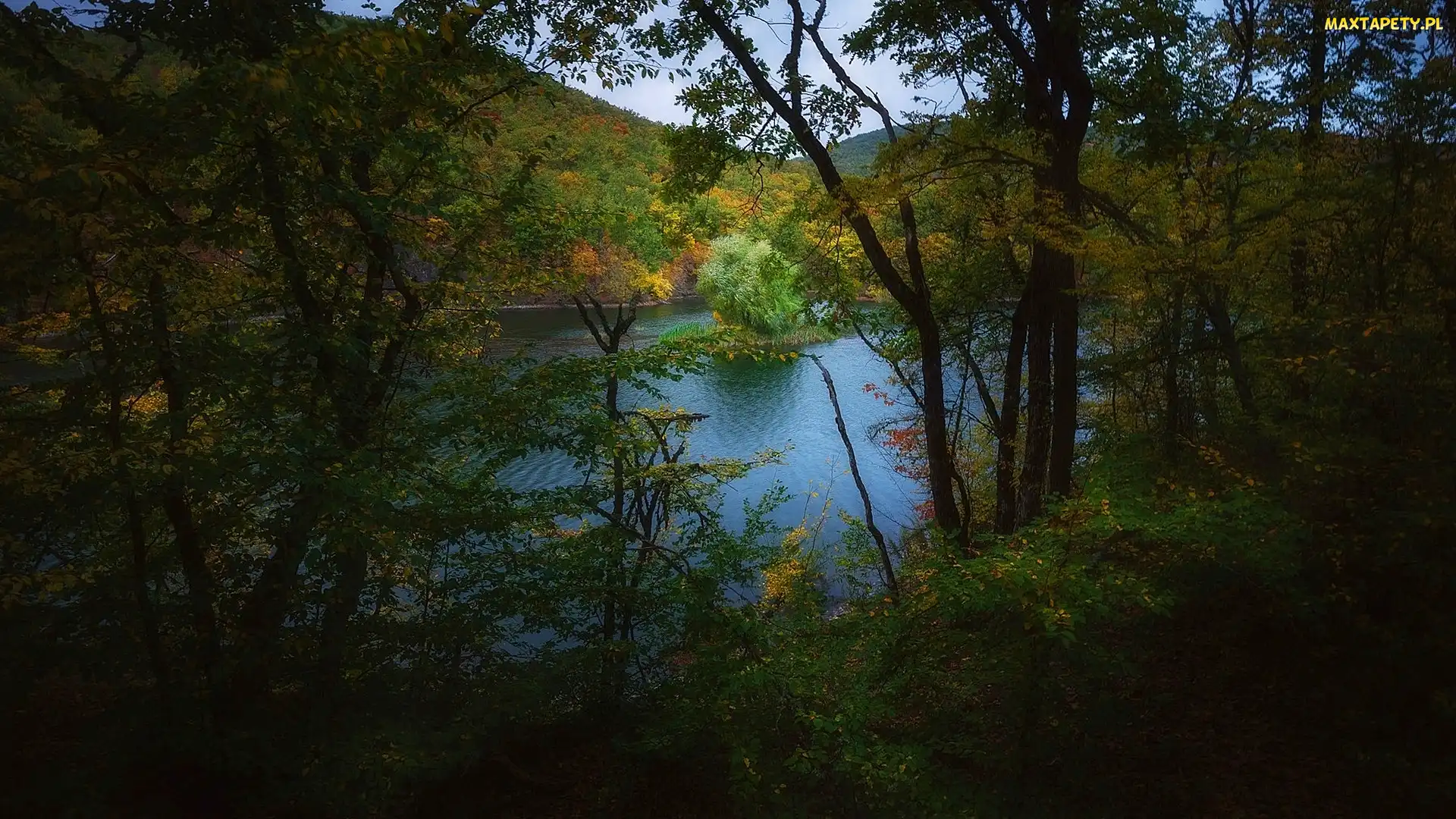 Wysepka, Drzewa, Jezioro, Góry