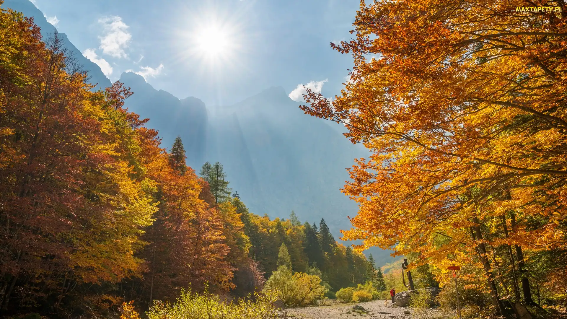 Słowenia, Dolina Vrata, Promienie słońca, Kranjska Gora, Alpy Julijskie, Góry, Góra Triglav, Drzewa, Triglavski Park Narodowy, Jesień