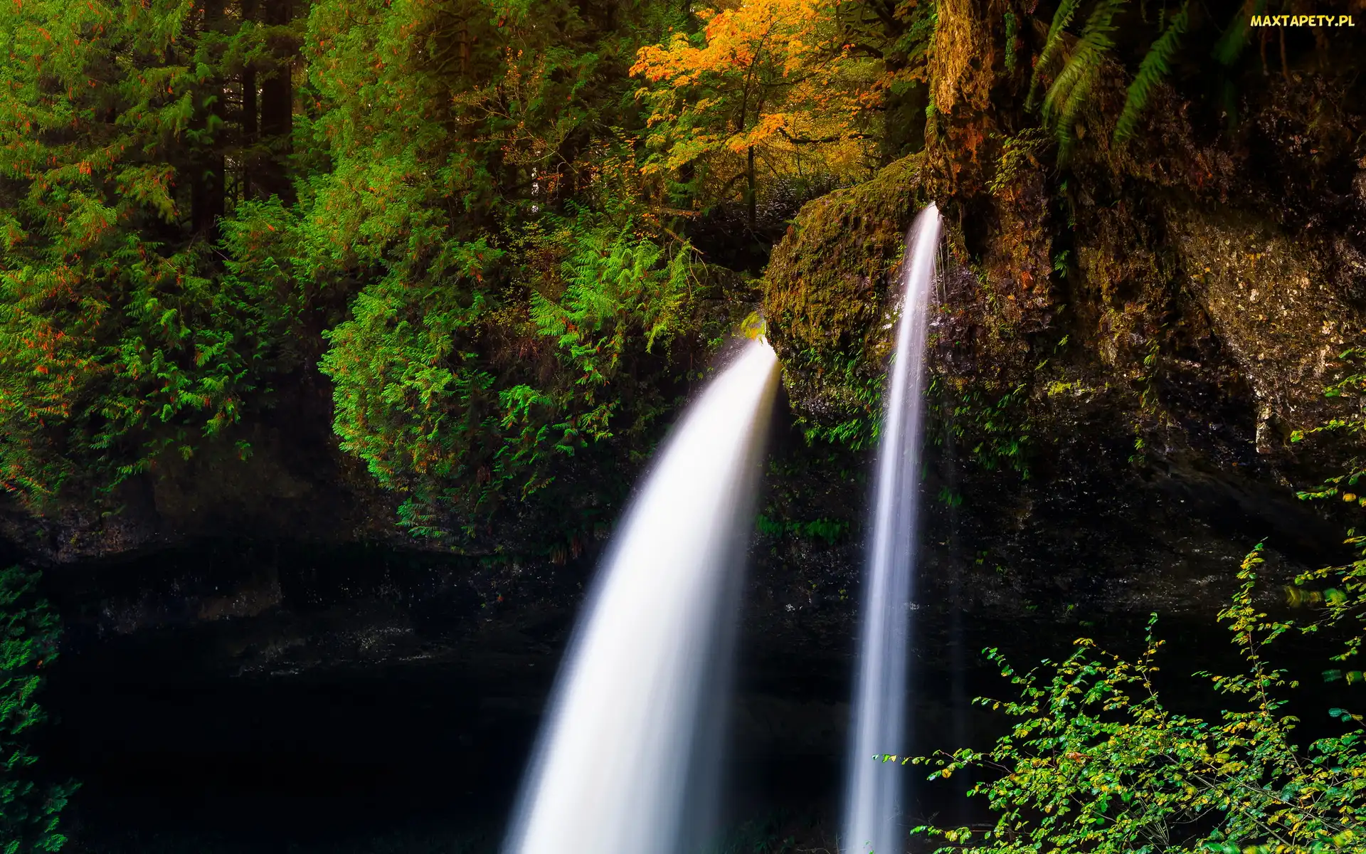 Roślinność, Stany Zjednoczone, Stan Oregon, Skały, Wodospad North Falls