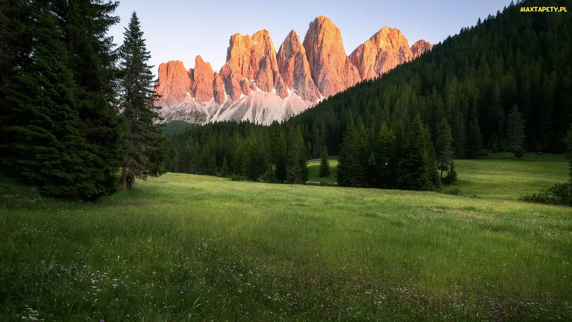 Dolomity, Lasy, Góry, Dolina Val Gardena, Polana, Masyw Odle, Włochy, Drzewa