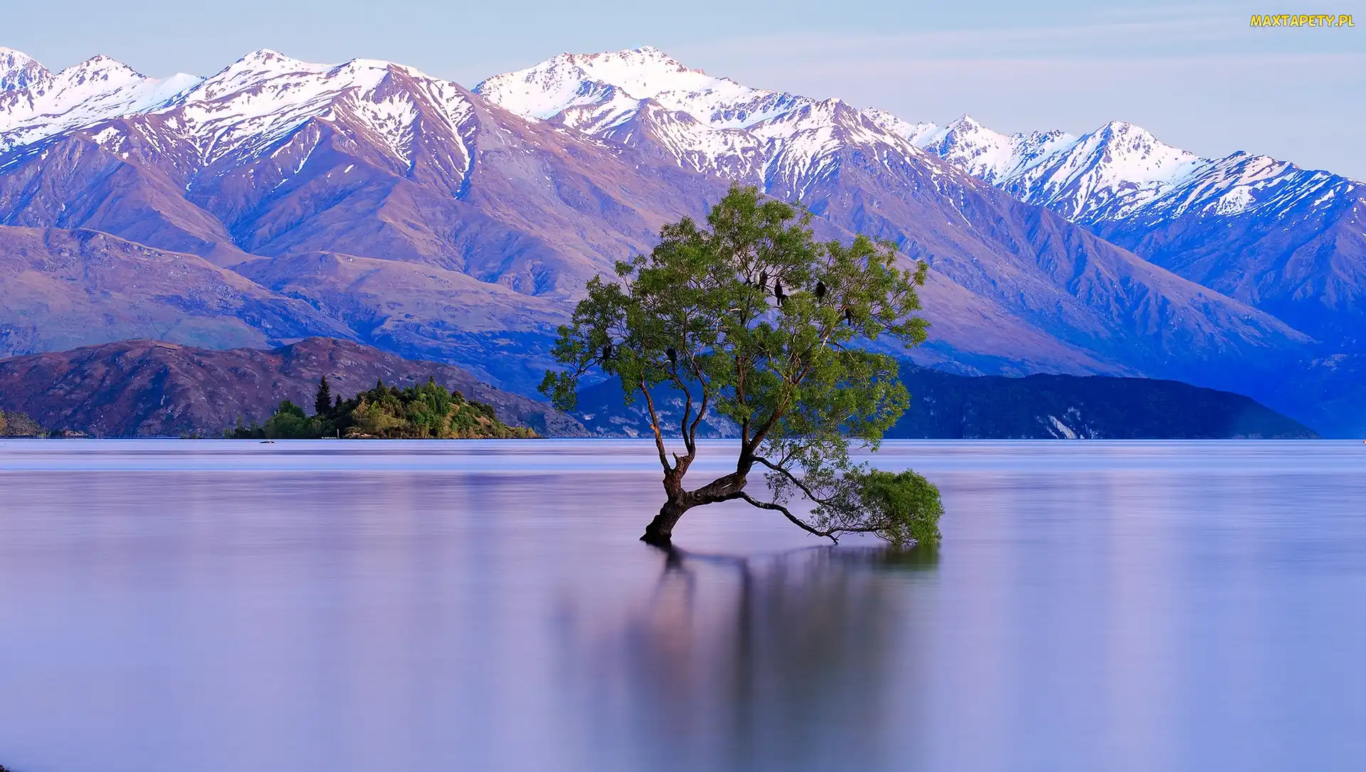 Jezioro Wanaka, Drzewo, Góry, Śnieg, Nowa Zelandia