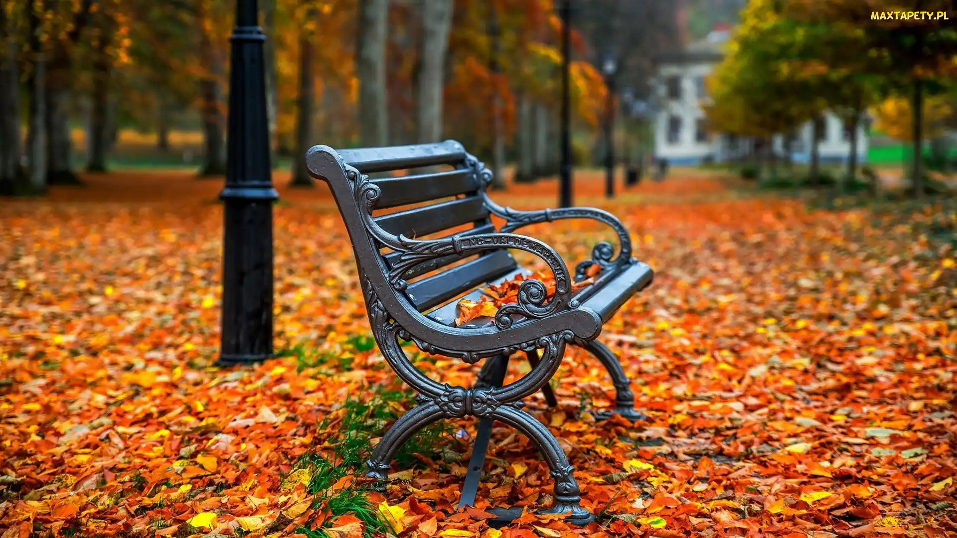 Jesień, Liście, Park, Ławka, Drzewa, Opadłe
