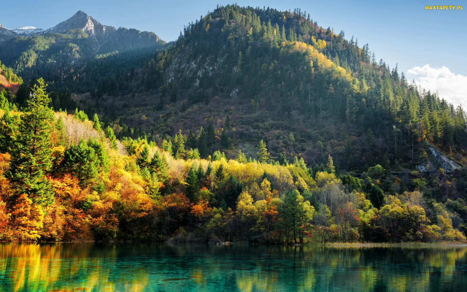 Drzewa, Jezioro Wu Hua Hai - Pięciu Kwiatów, Jesień, Chiny, Góry, Park Narodowy Jiuzhaigou, Las