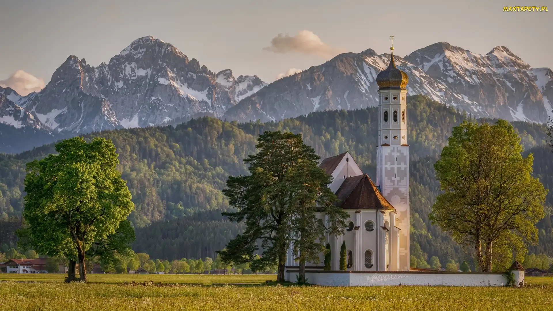 Alpy, Góry, Niemcy, Drzewa, Region Allgau, Bawaria, Kościół Eglise Saint Coloman