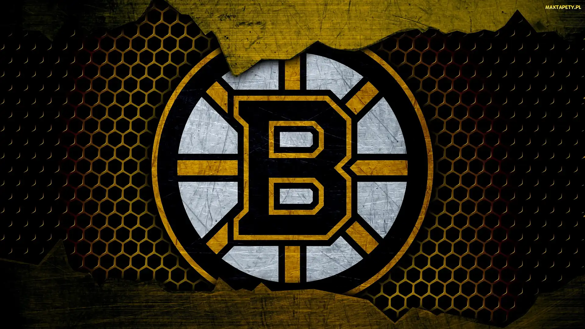Klub hokejowy, Boston Bruins, Logo