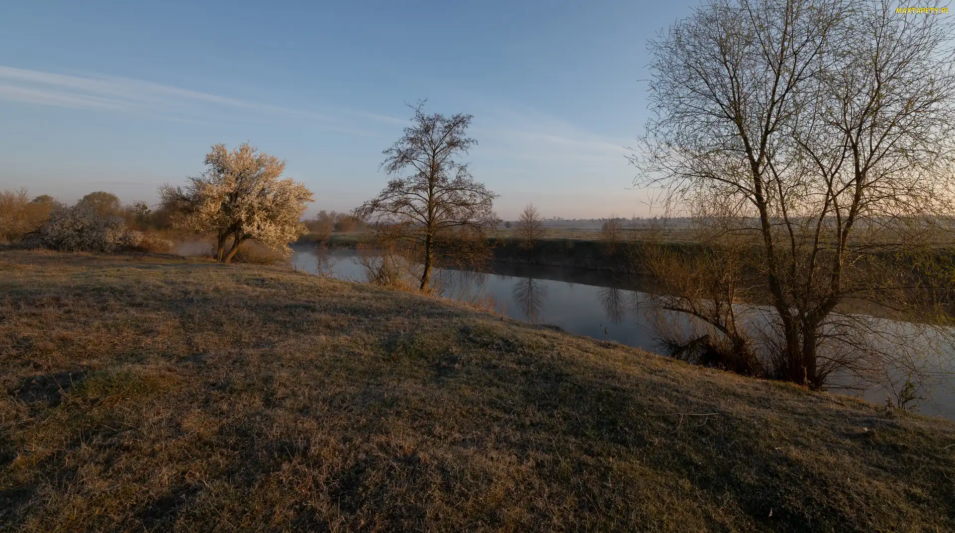 Trawa, Drzewa, Jesień, Rzeka