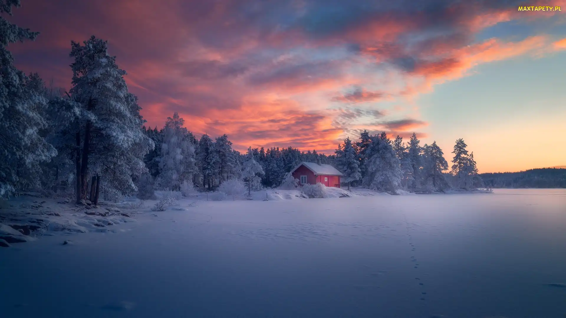 Ringerike, Las, Norwegia, Drzewa, Zachód słońca, Zima, Chmury, Dom