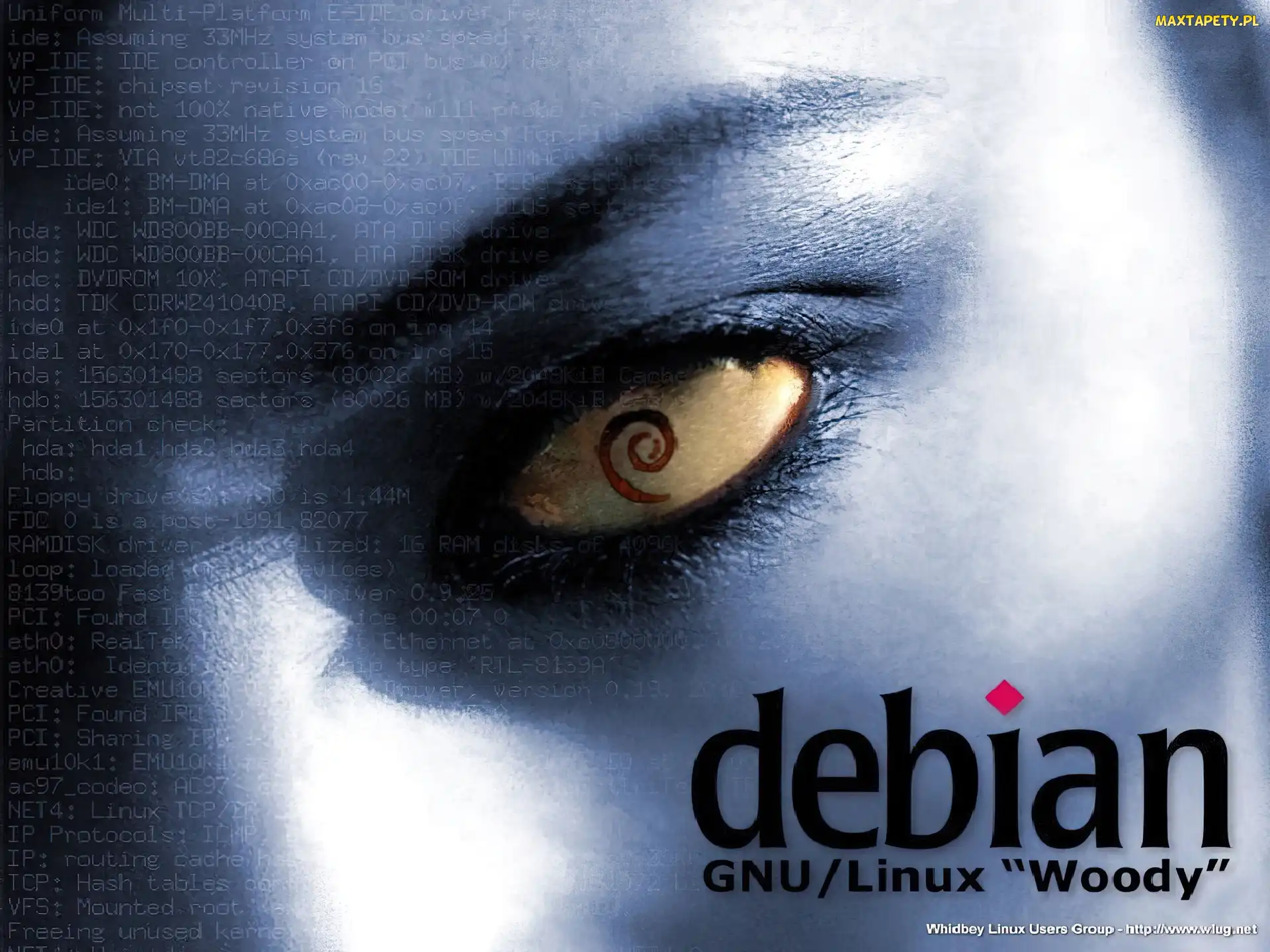 oko, Linux Debian, muszla, rzęsy, zawijas, grafika, ślimak