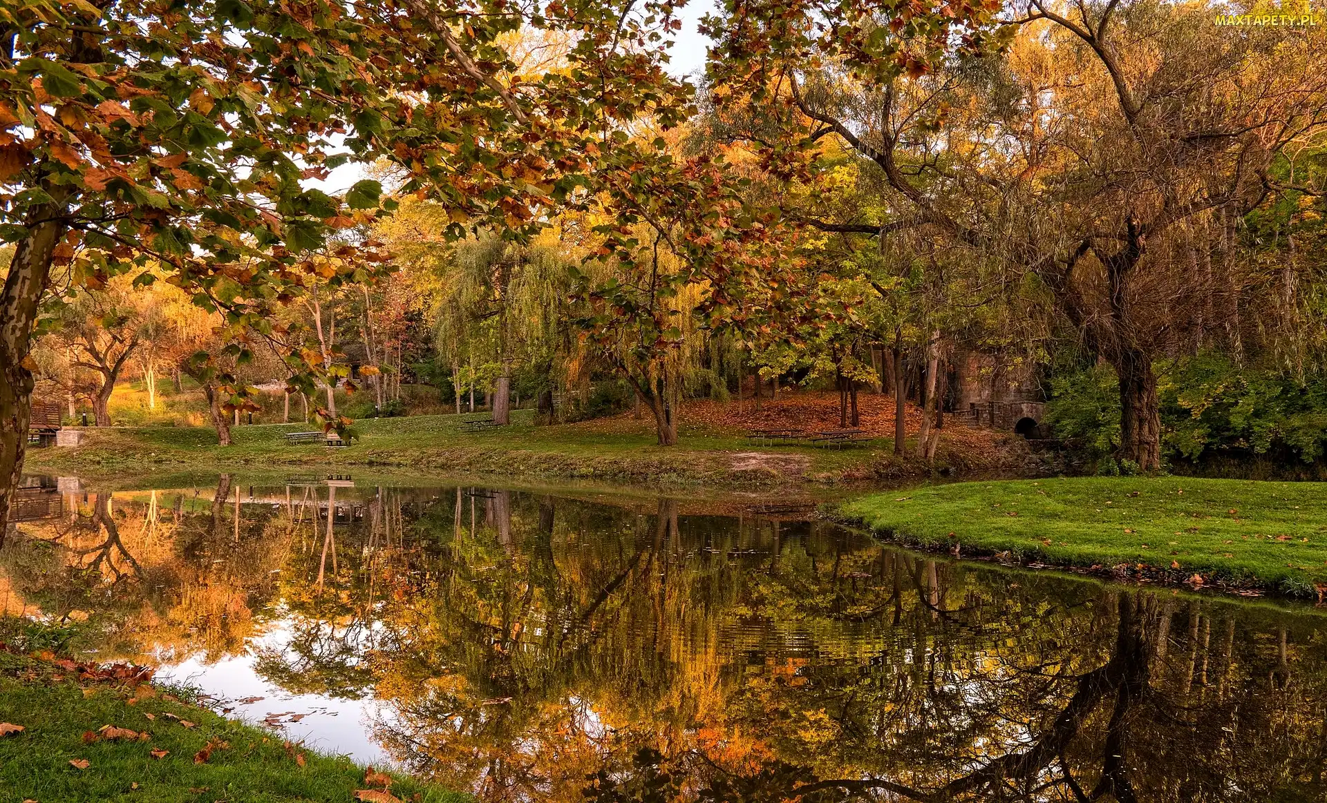 Jesień, Park, Most, Staw, Ławki, Drzewa