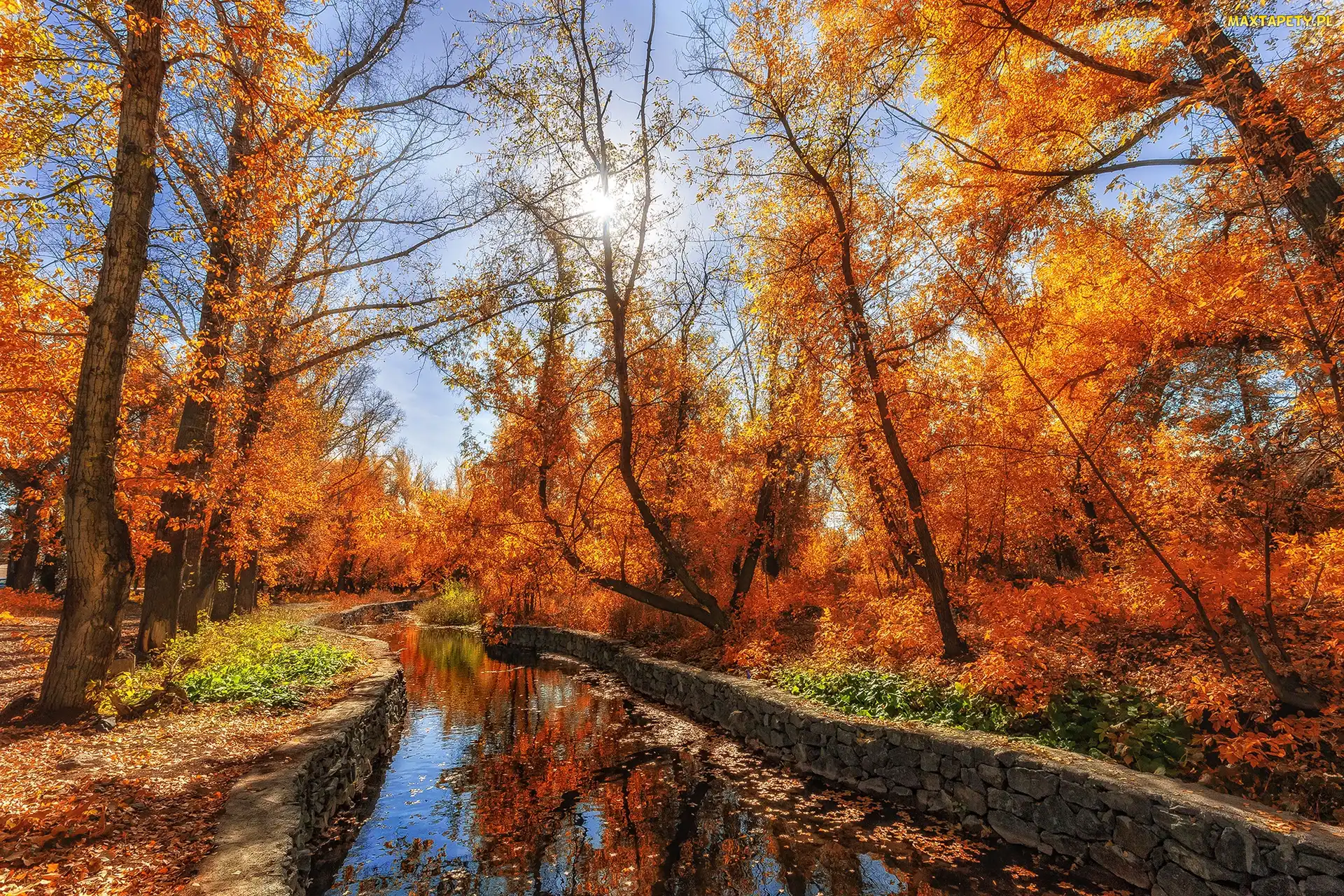 Słońce, Rzeka, Drzewa, Jesień, Park, Kanał