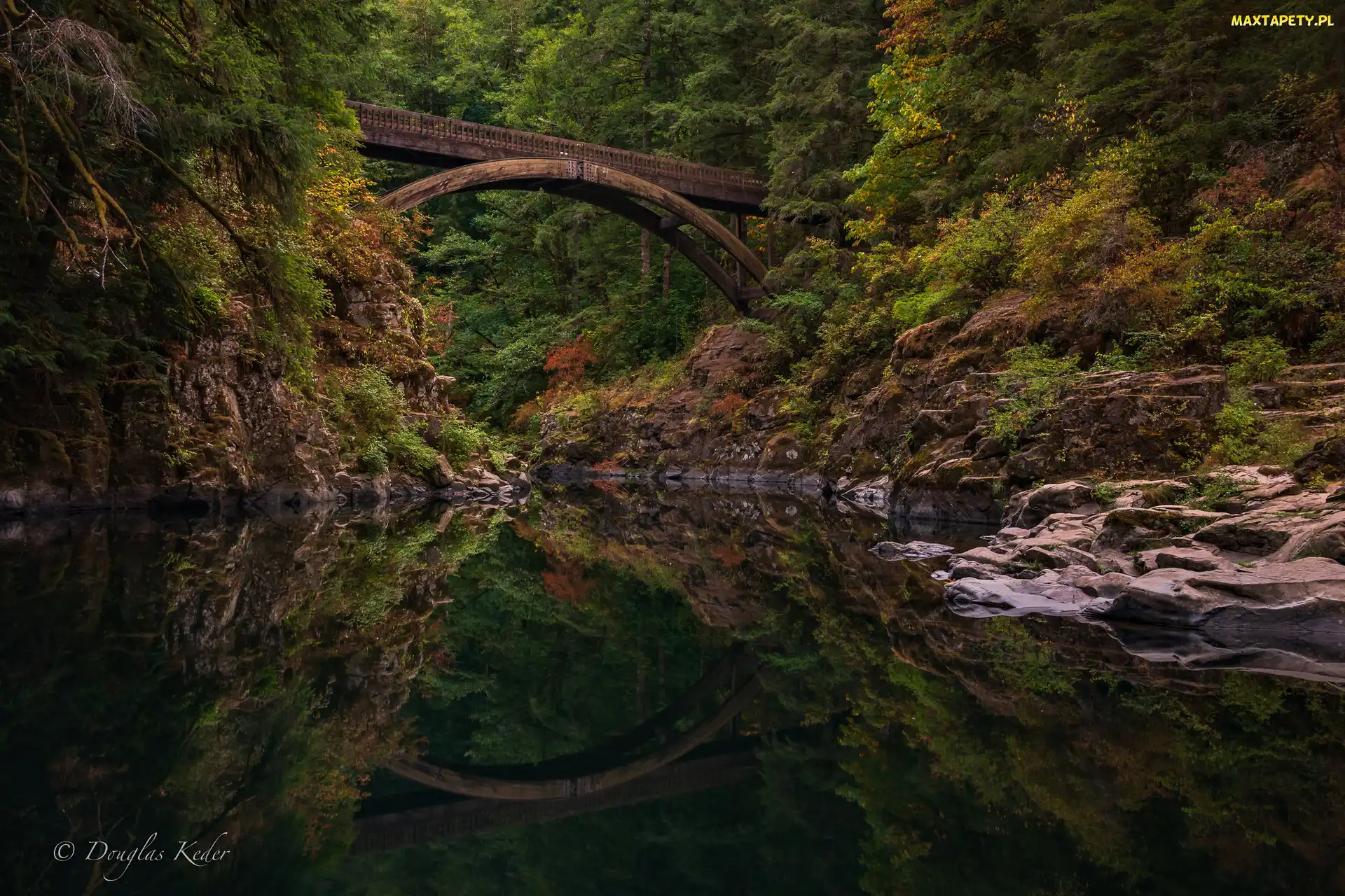Stan Waszyngton, Skały, Drzewa, Stany Zjednoczone, Most Moulton Falls Bridge, Las, Rzeka Lewis River