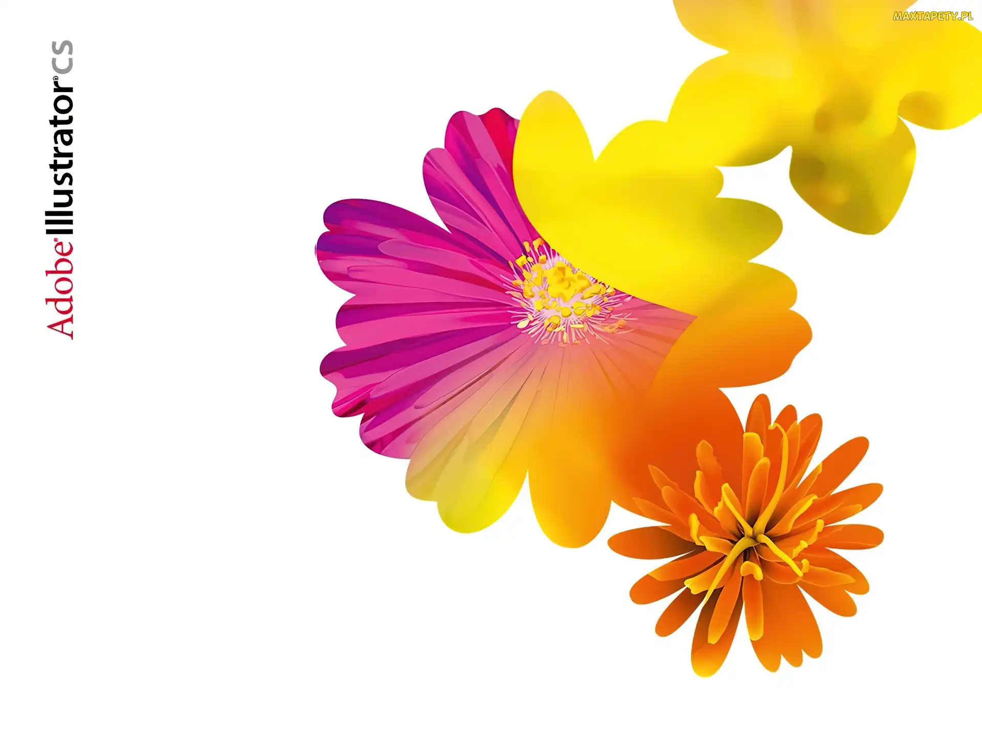 kwiaty, grafika, Adobe