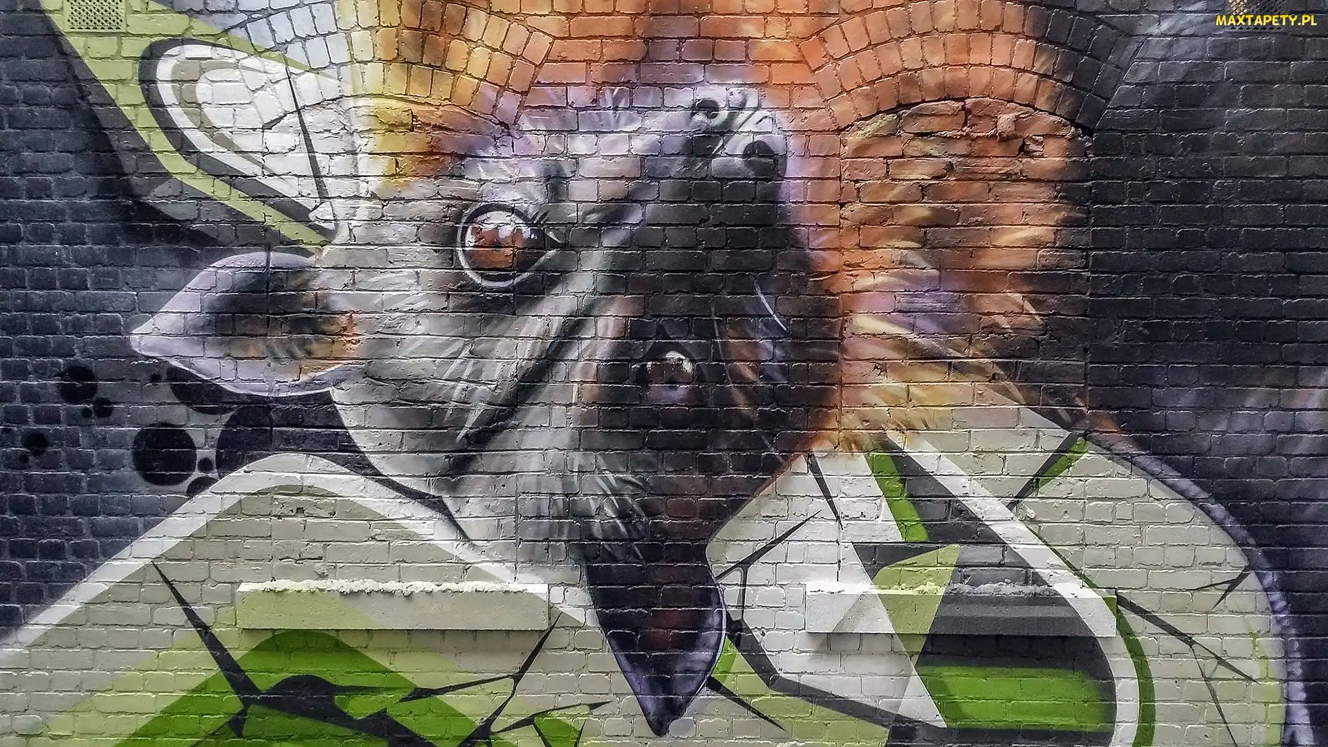 Nietoperz, Street art, Ściana