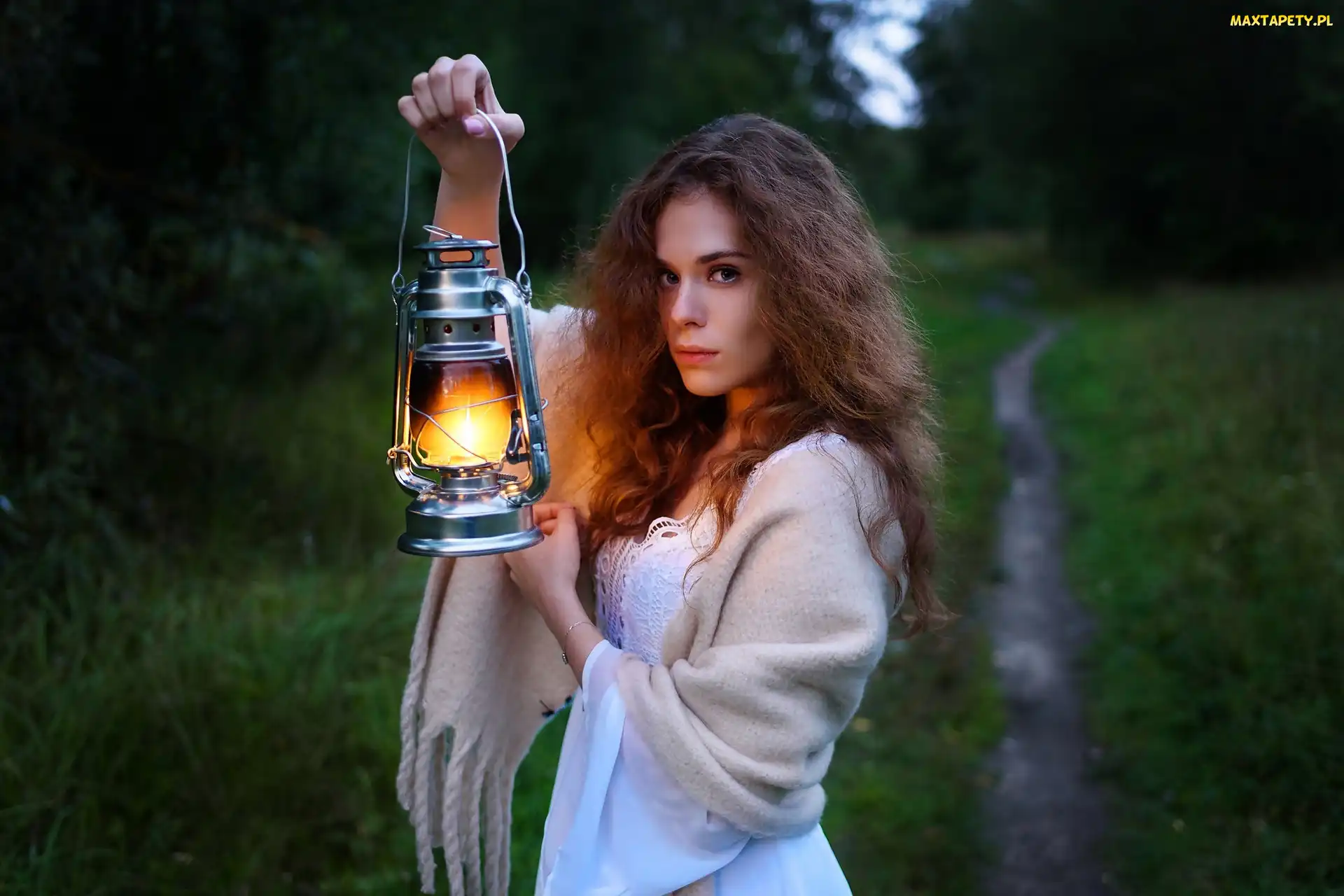 Kobieta, Szal, Zmrok, Ścieżka, Las, Lampa
