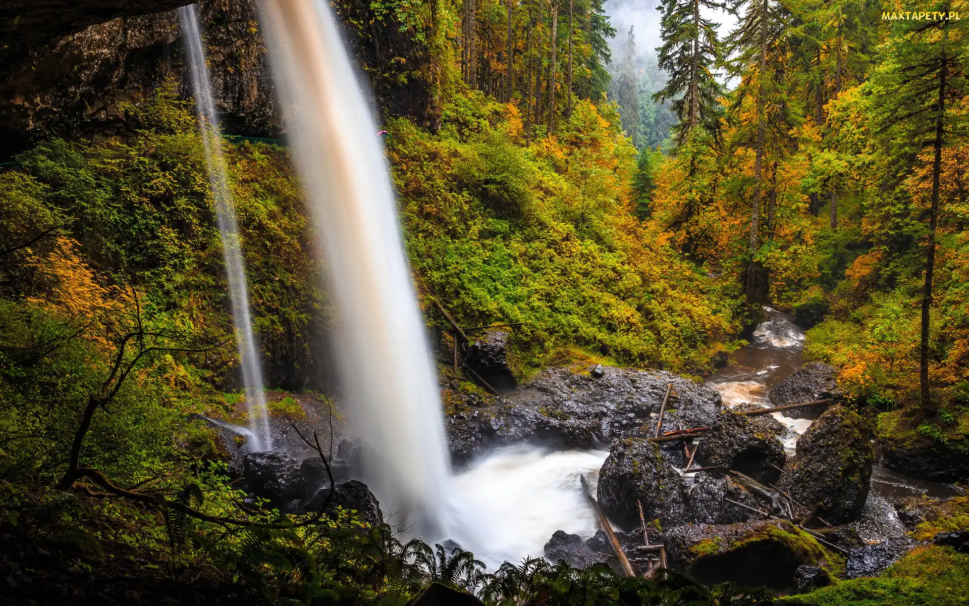 Drzewa, Strumień, Las, Wodospad North Falls, Stany Zjednoczone, Skały, Roślinność, Stan Oregon, Rzeka