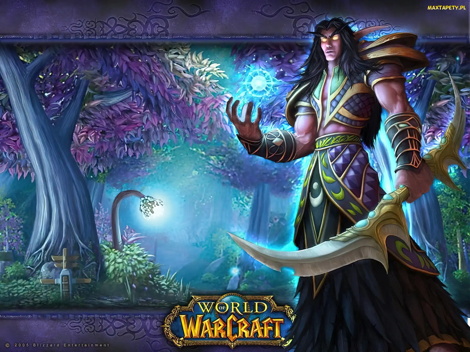mężczyzna, fantasy, wojownik, elf, World Of Warcraft