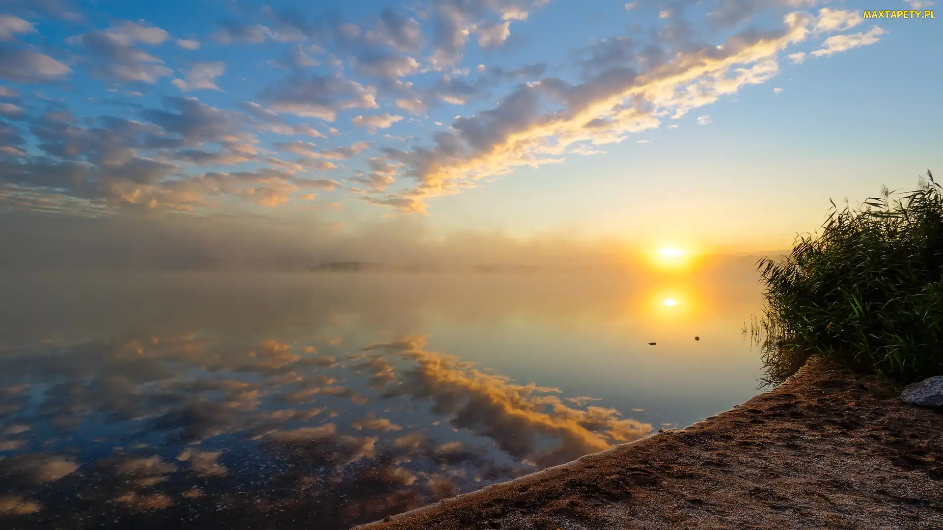 Steinberger See, Chmury, Jezioro, Mgła, Bawaria, Wschód słońca, Niemcy, Trzciny