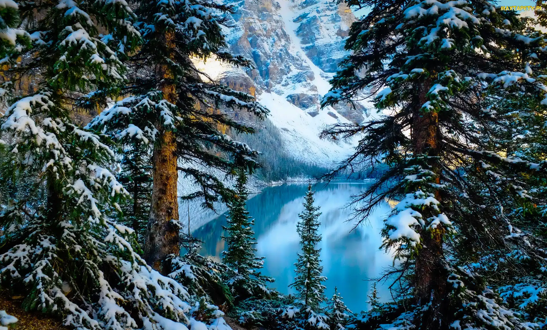 Drzewa, Góry, Prowincja Alberta, Zima, Jezioro Moraine, Kanada, Park Narodowy Banff