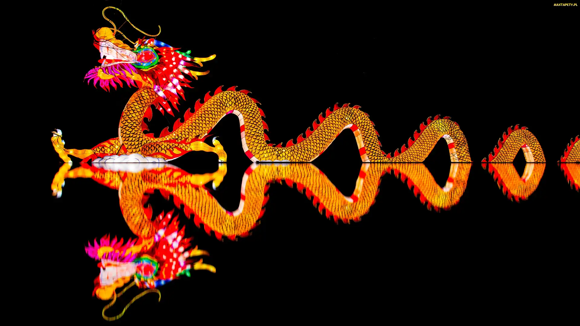 Odbicie, 2D, Smok