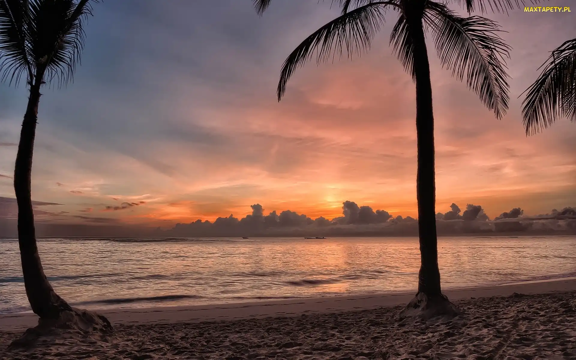 Bavaro, Punta Cana, Plaża, Dominikana, Tropiki, Kurort, Palmy