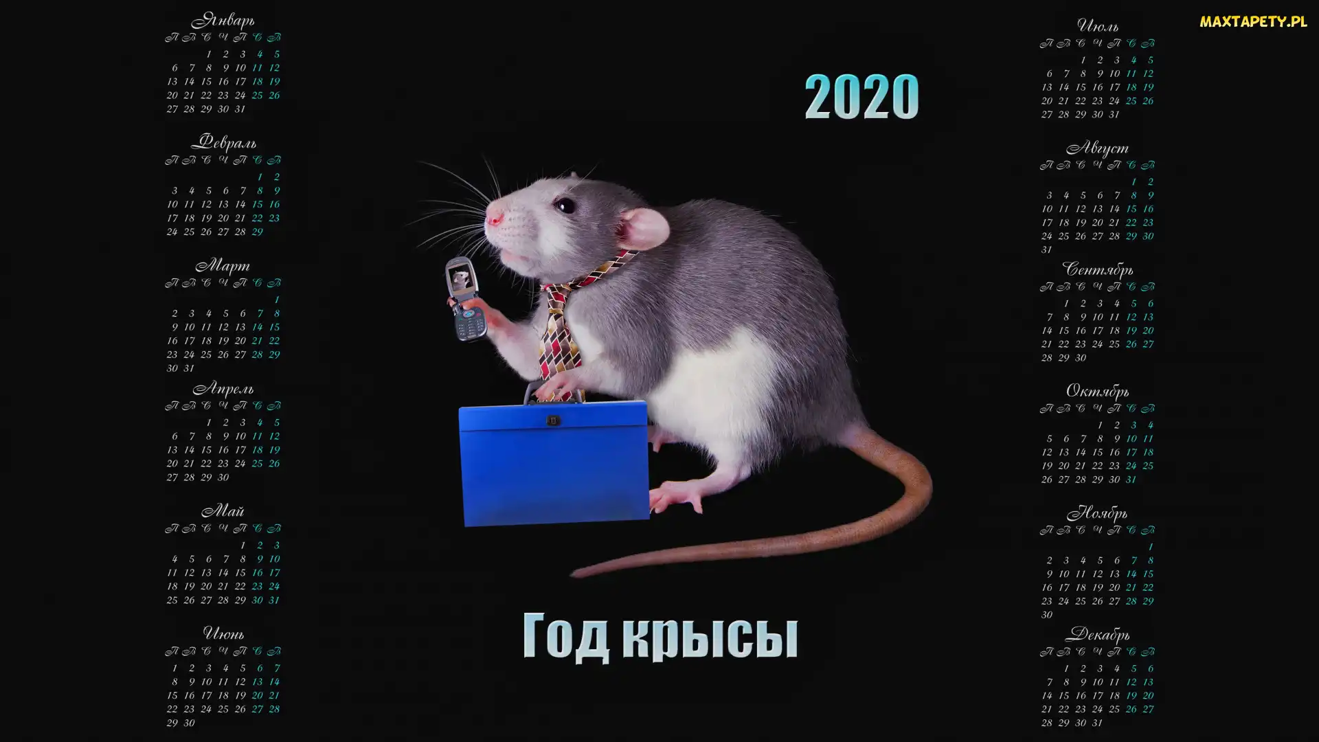 Teczka, Telefon, 2020, Kalendarz, Szczur, Krawat
