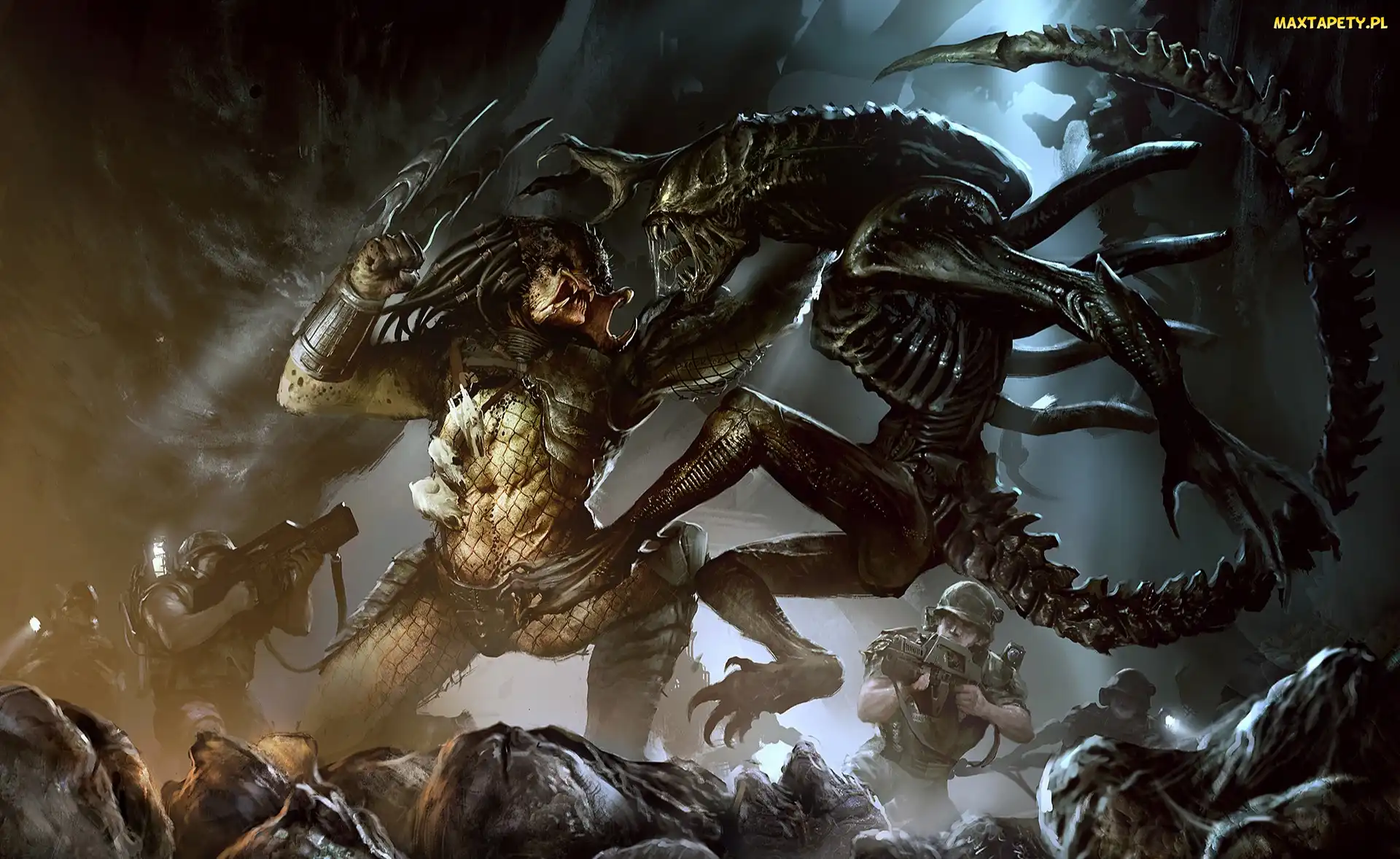 Obcy kontra Predator, Obcy, Film, Walka, Wojsko, Alien versus Predator, Grafika, Predator