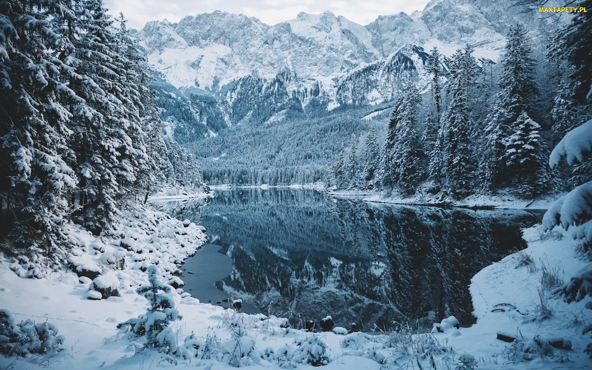 Góry, Las, Zima, Jezioro Eibsee, Bawaria, Alpy Bawarskie, Niemcy, Drzewa