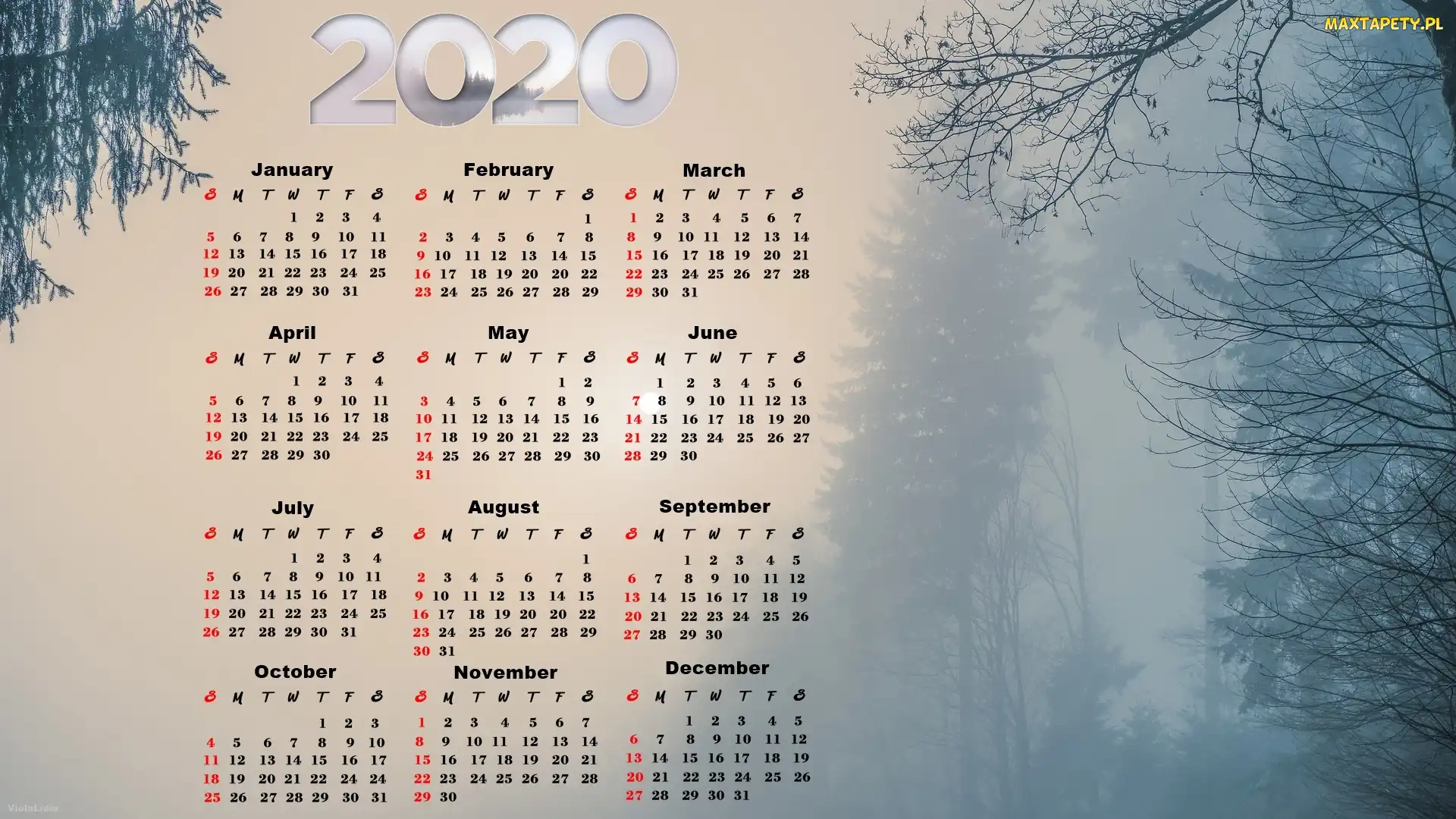 Mgła, Drzewa, Kalendarz, 2020