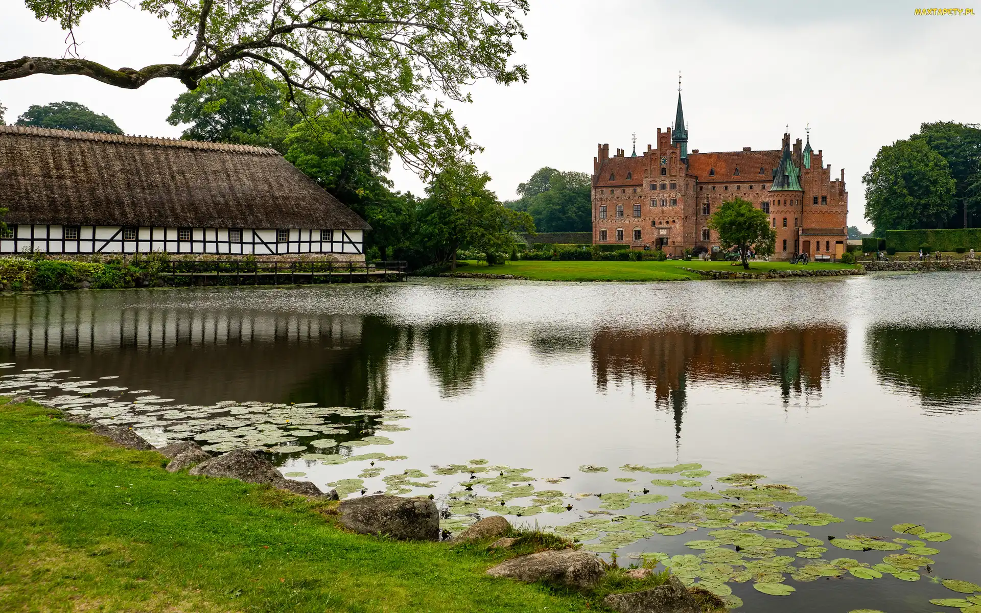 Zamek Egeskov, Dania, Kvaerndrup, Wyspa Fionia, Staw